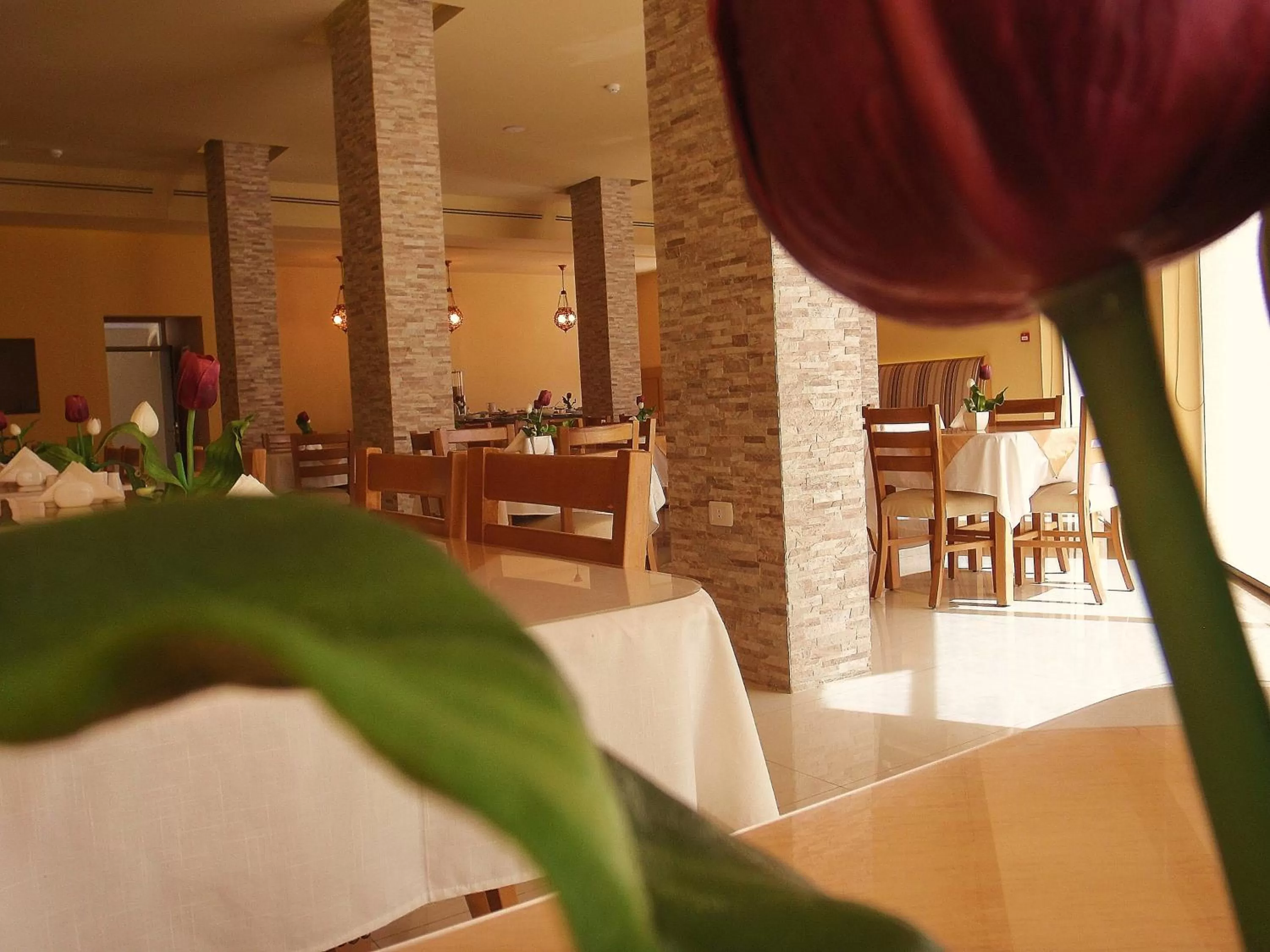 Restaurant/places to eat in Mosaic City Hotel