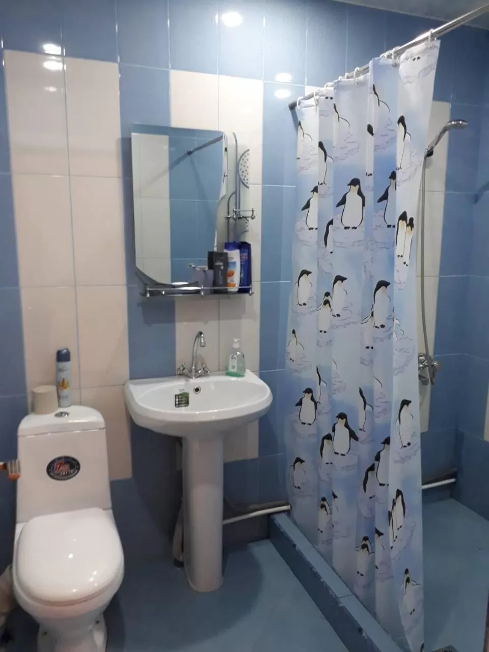 Bathroom in Green Dilijan B&B