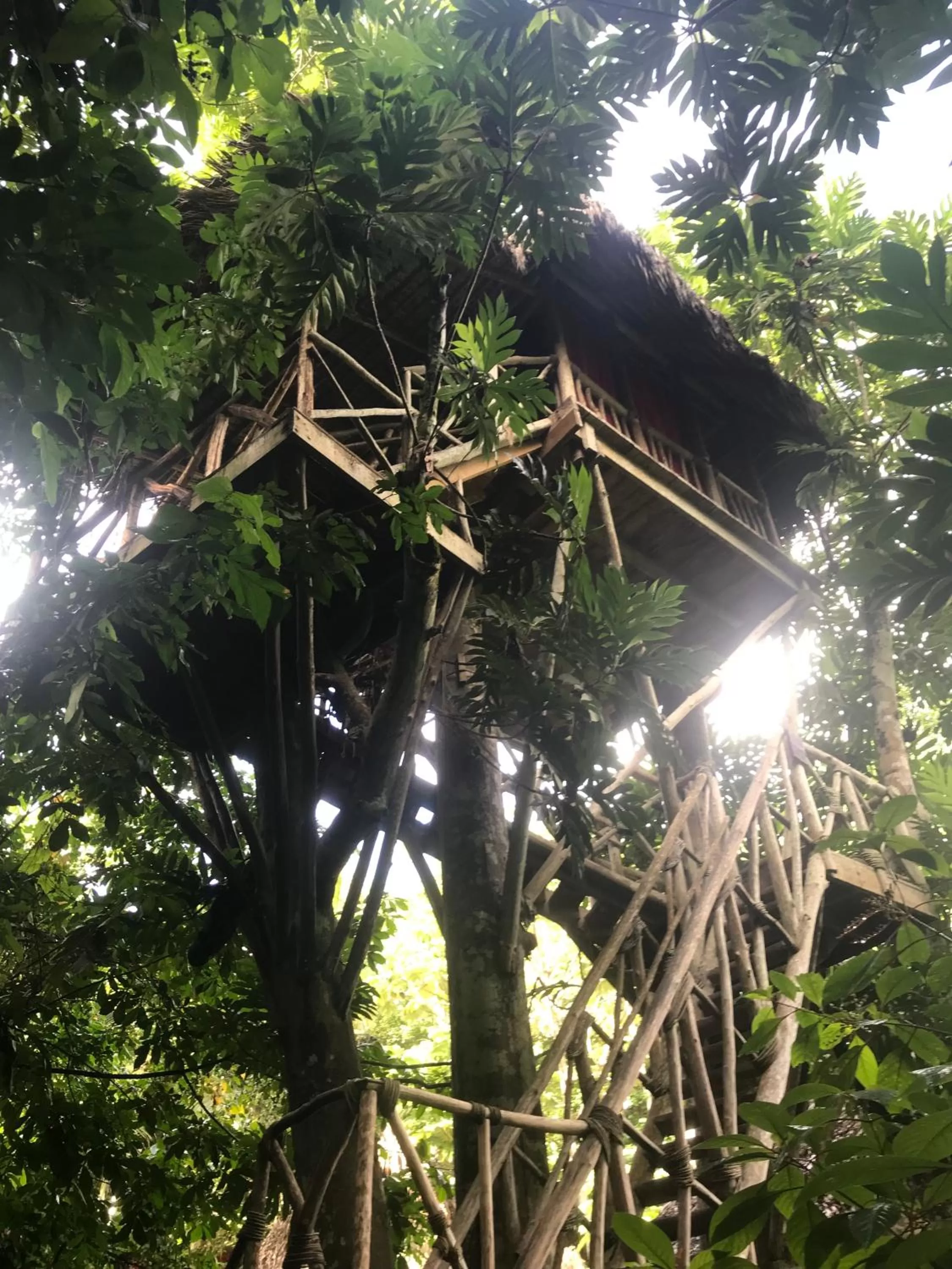 Property Building in Dominican Tree House Village