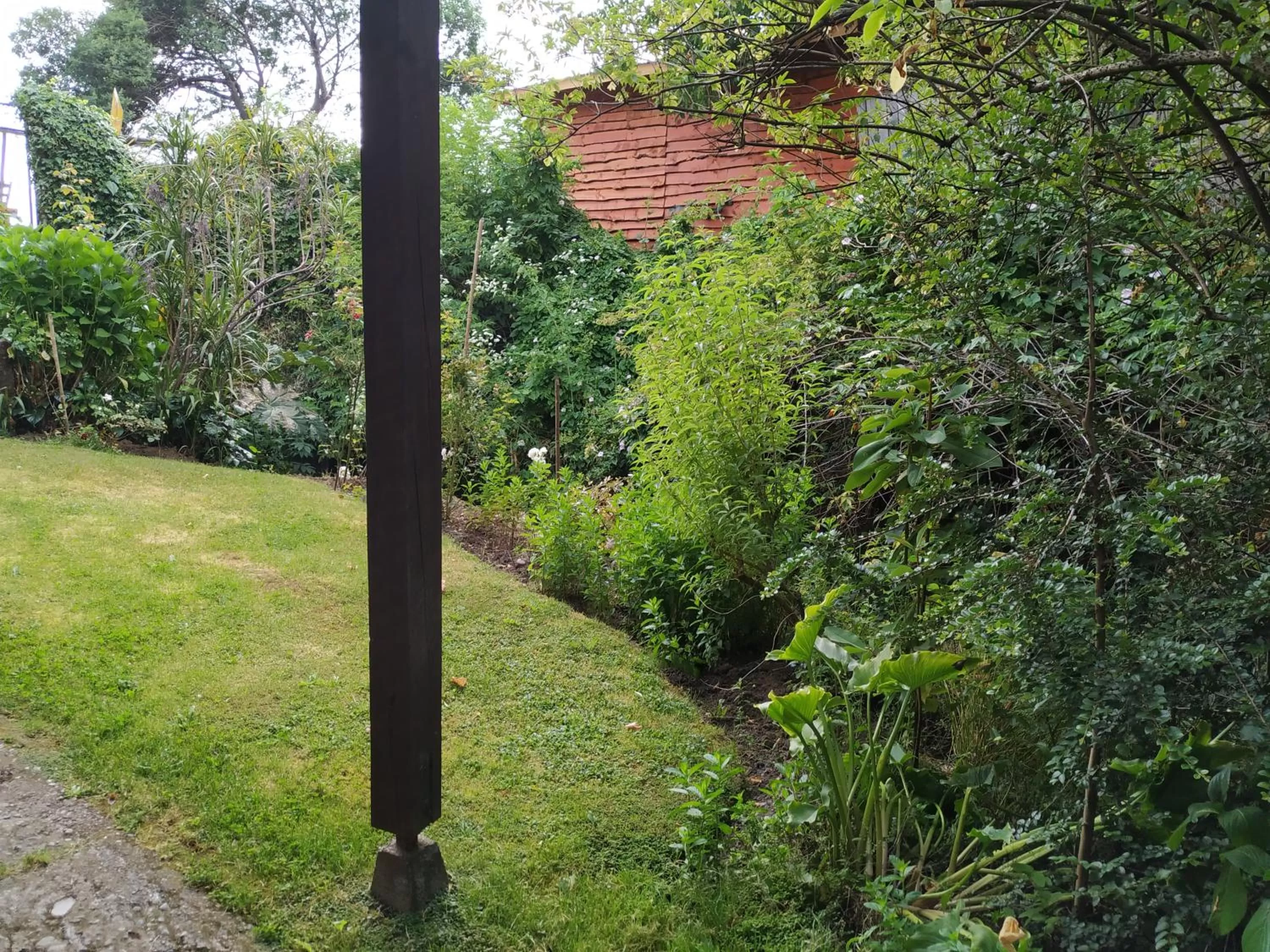 Natural landscape, Garden in Omi Kika B&B