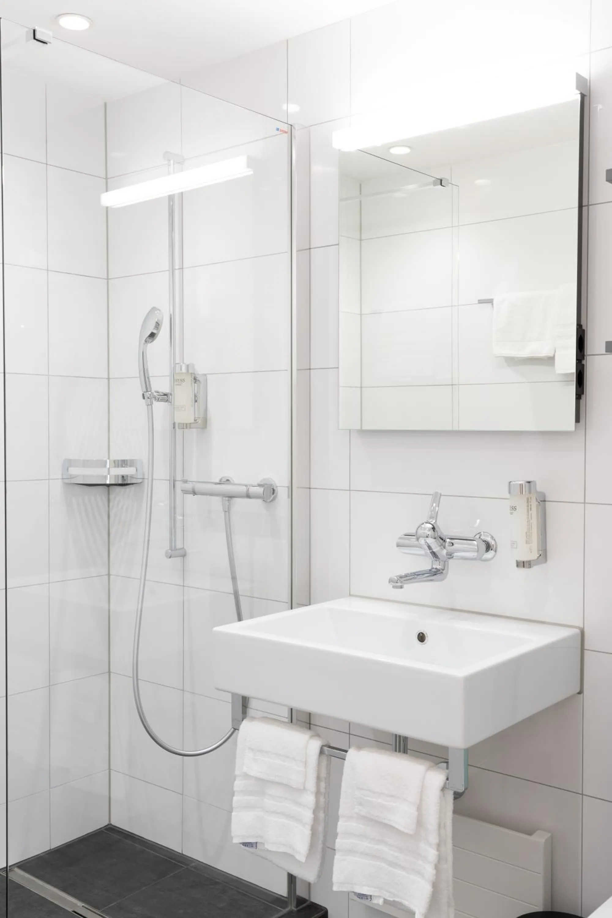 Shower in Hotel Sursee