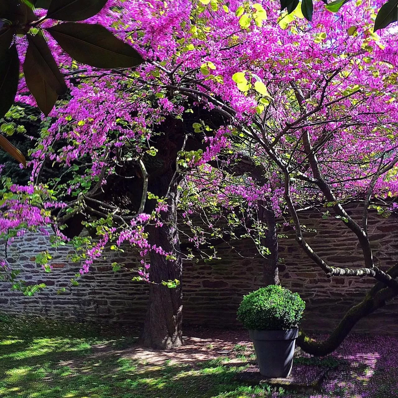 Property building in Castel Jolly