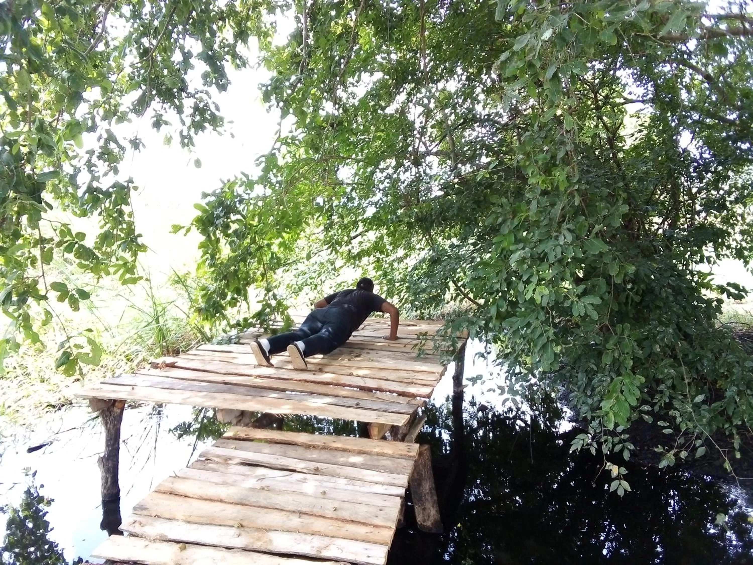 Activities, Other Animals in Lake Bliss