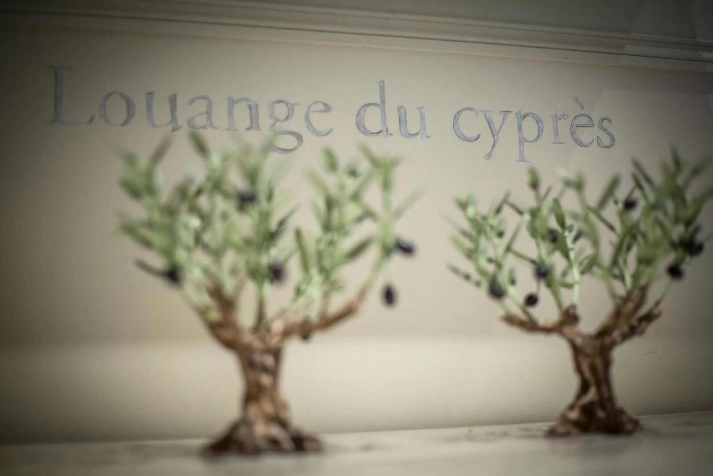 Property logo or sign in Hotel d'Europe