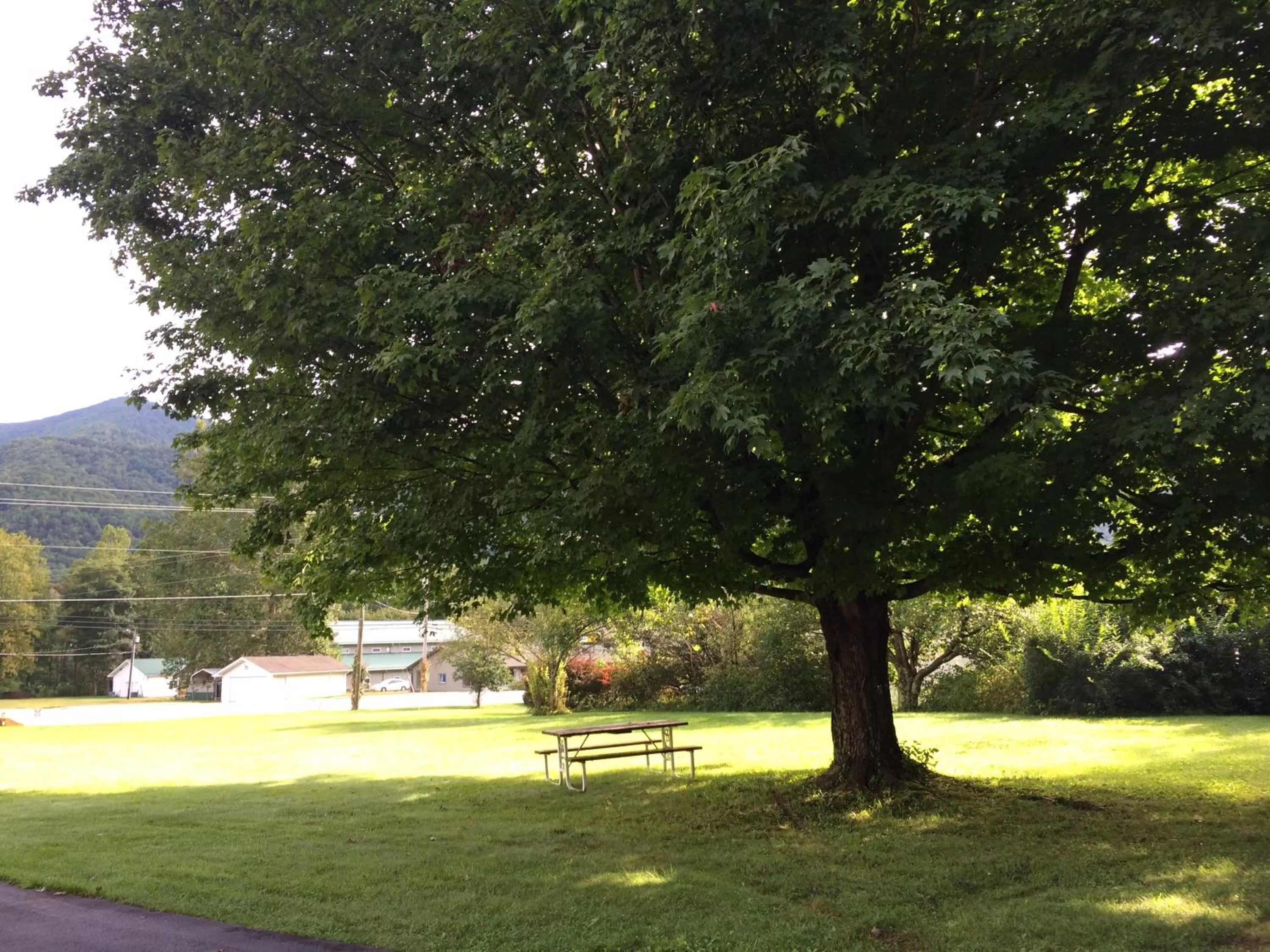View (from property/room) in Cardinal Inn