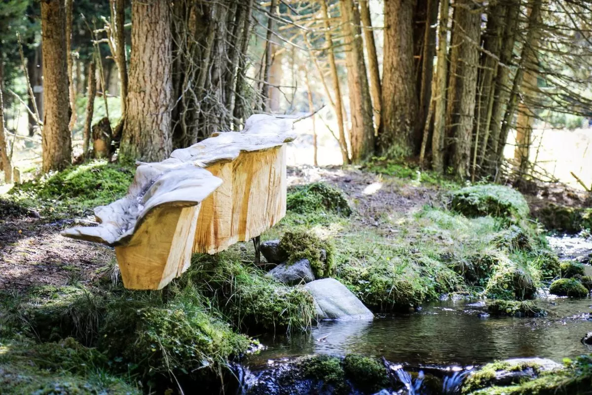 Natural Landscape in Pension Fuchs