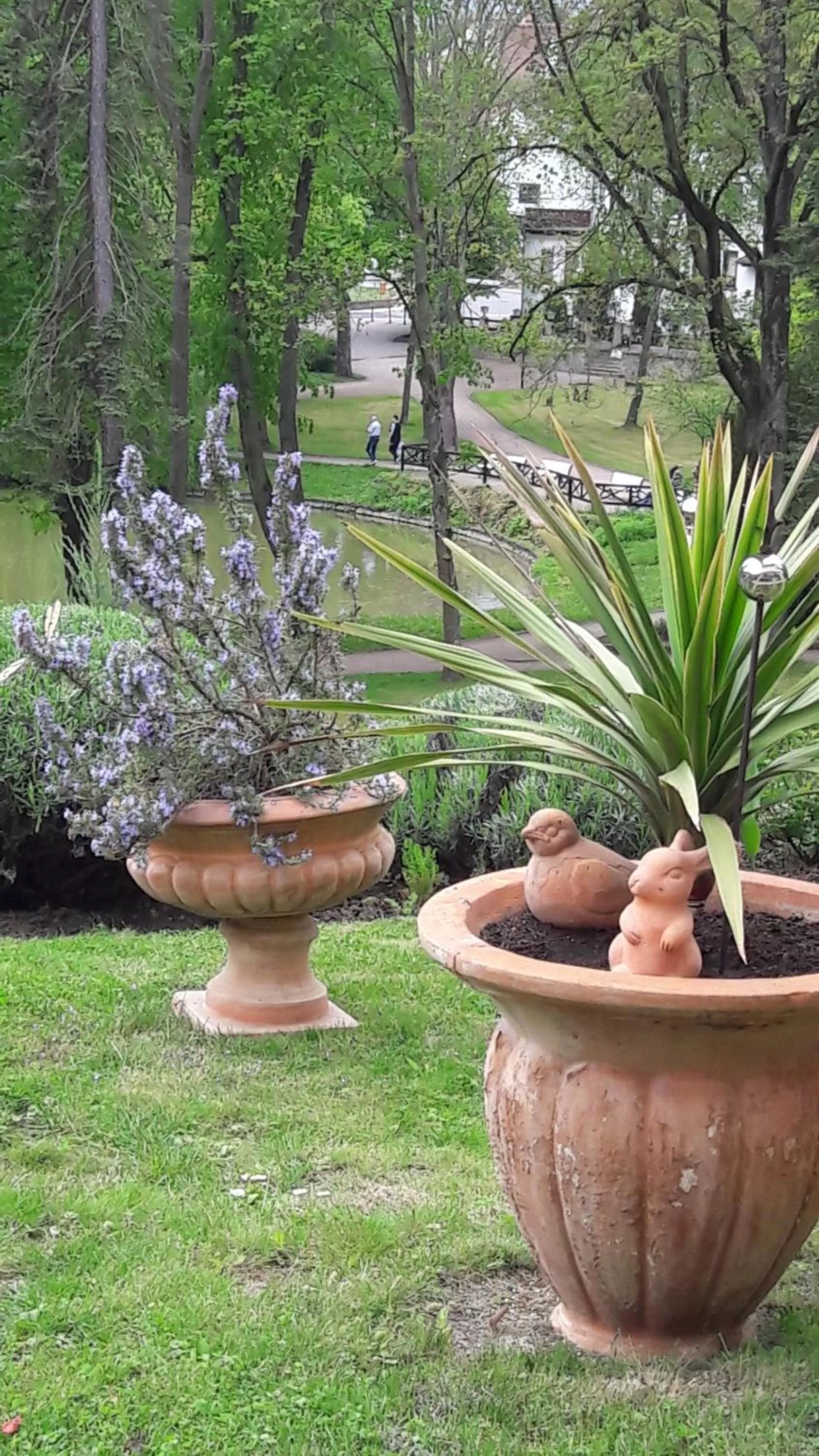 Garden in Traumparadies