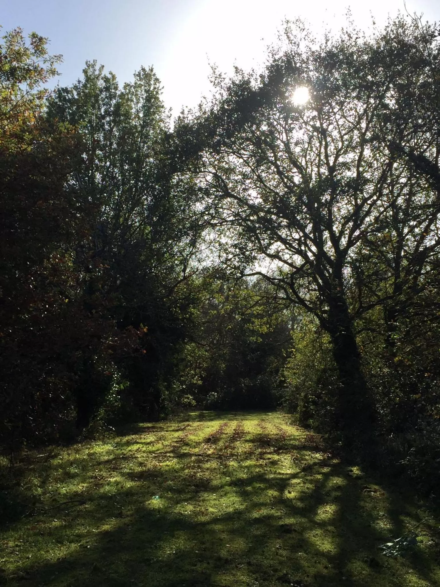Garden in Les Colonnes De Chanteloup