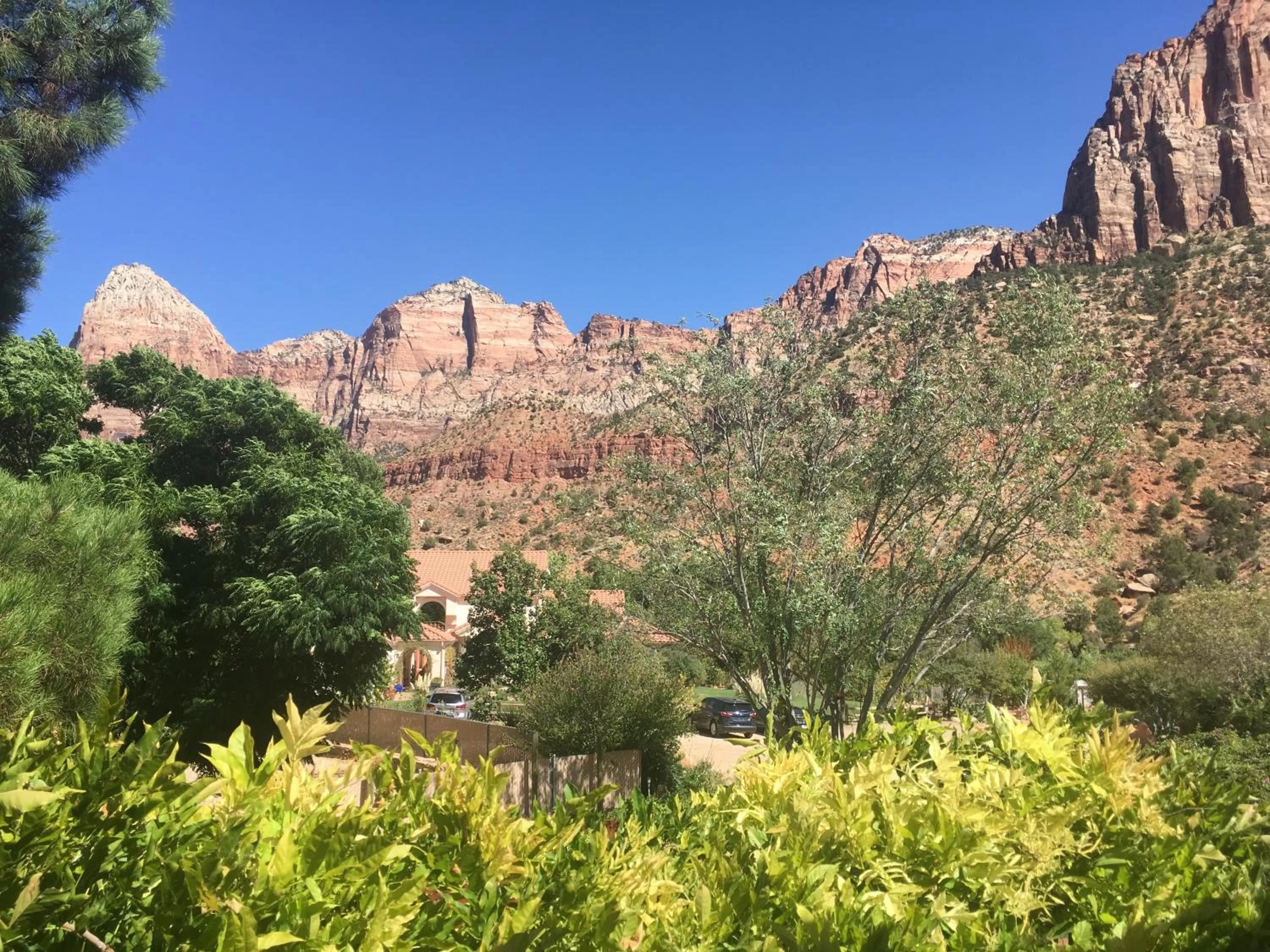 Mountain view in Harvest House Bed and Breakfast