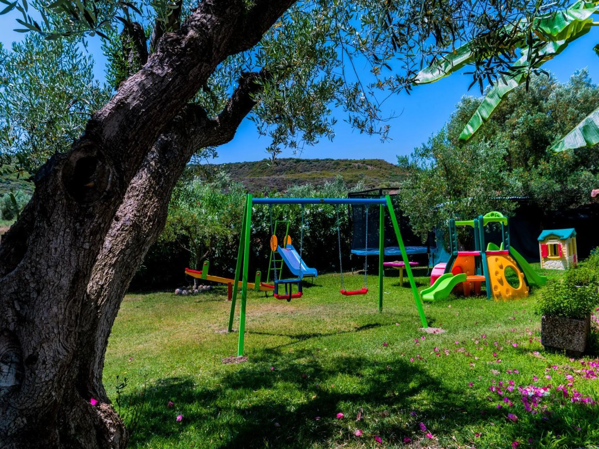 Day in Flegra Palace