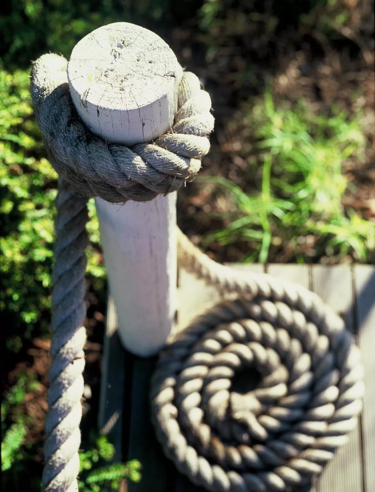 Area and facilities in Boathouse - Birks River Retreat