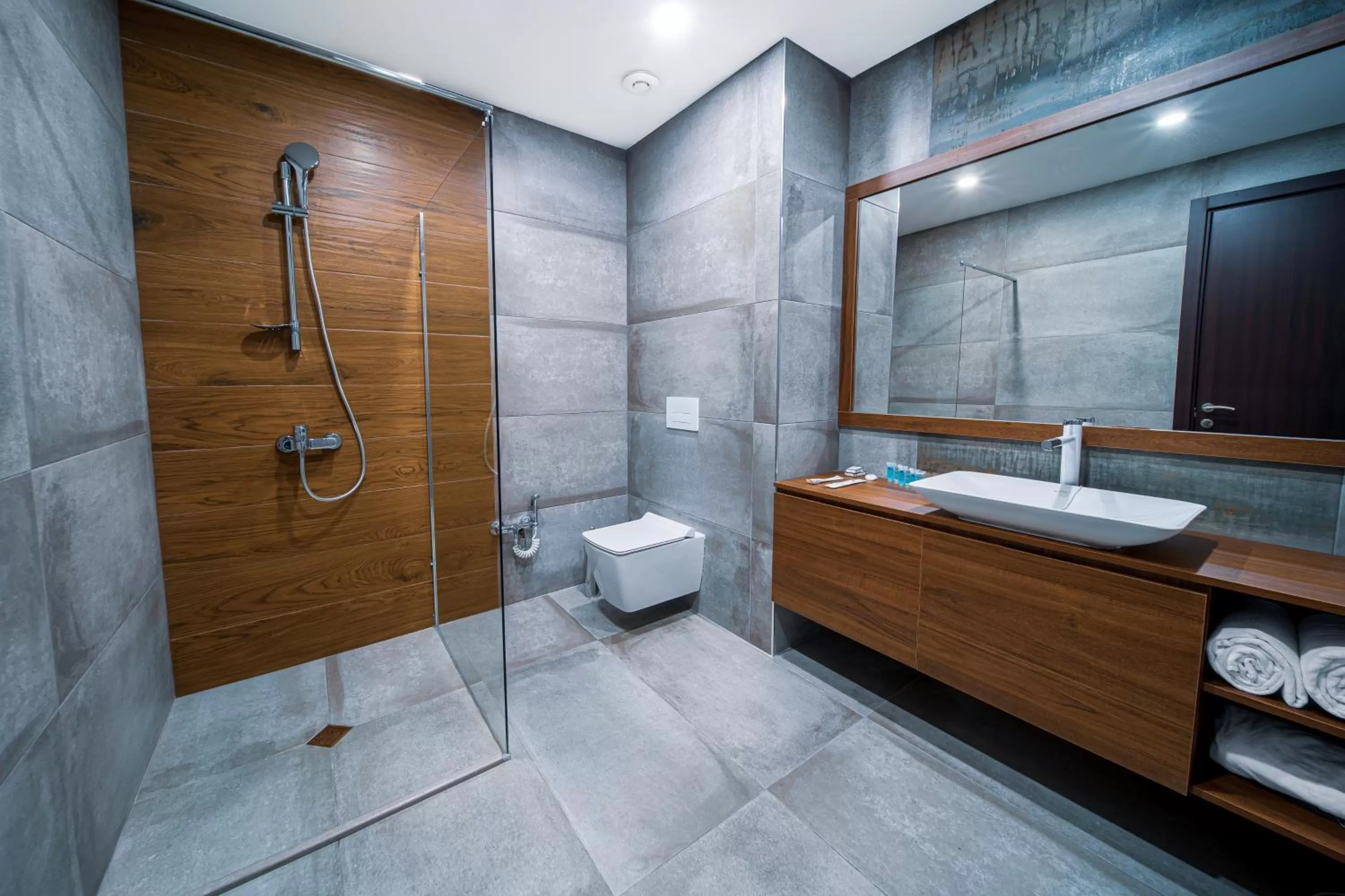 Shower in Reed Hotel Tbilisi