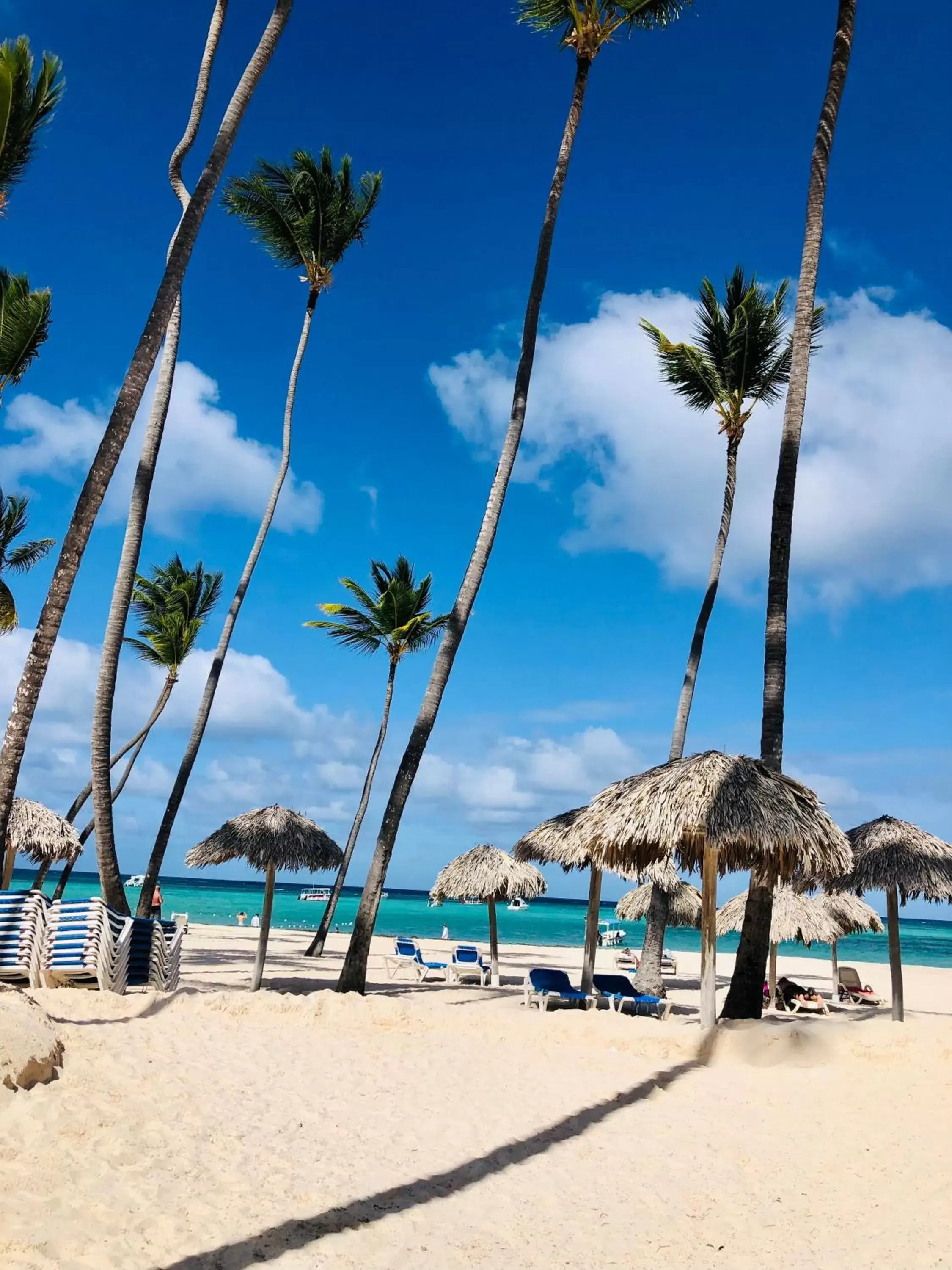 Beach in Los Corales Luxury Villas Beach Club and Spa Beach in Los Corales Luxury Villas Beach Club and Spa