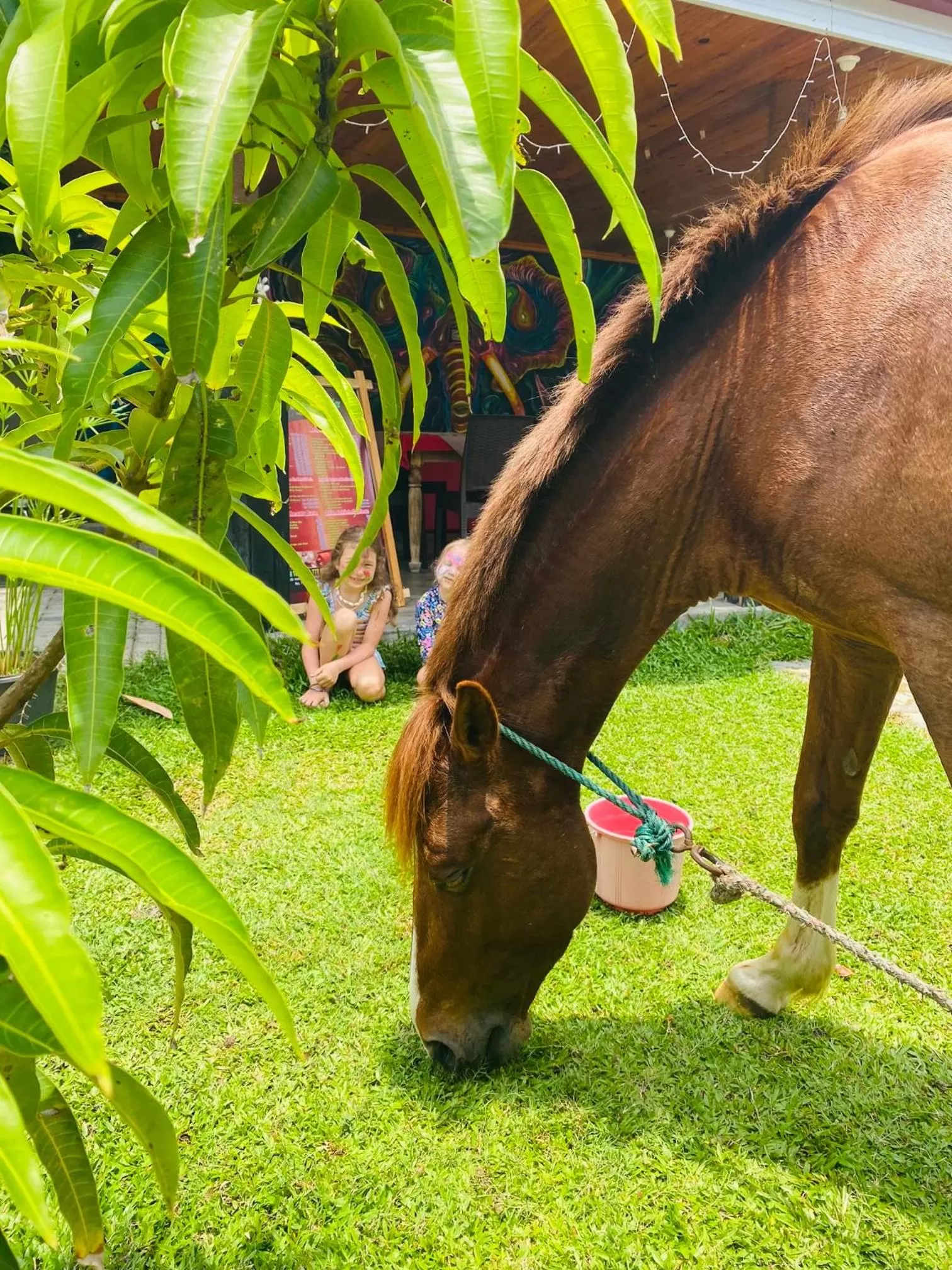 The Kingslayer Resort