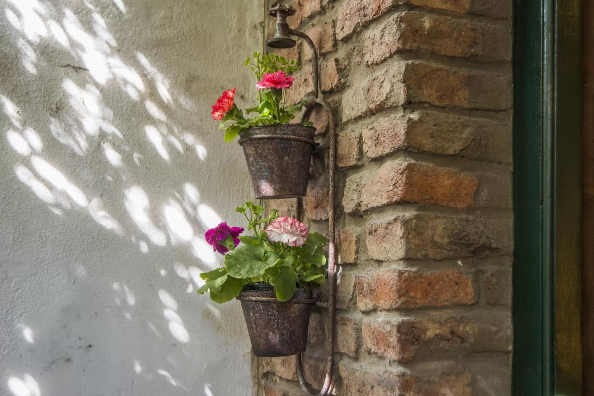 Garden in Lina's Tango Guesthouse