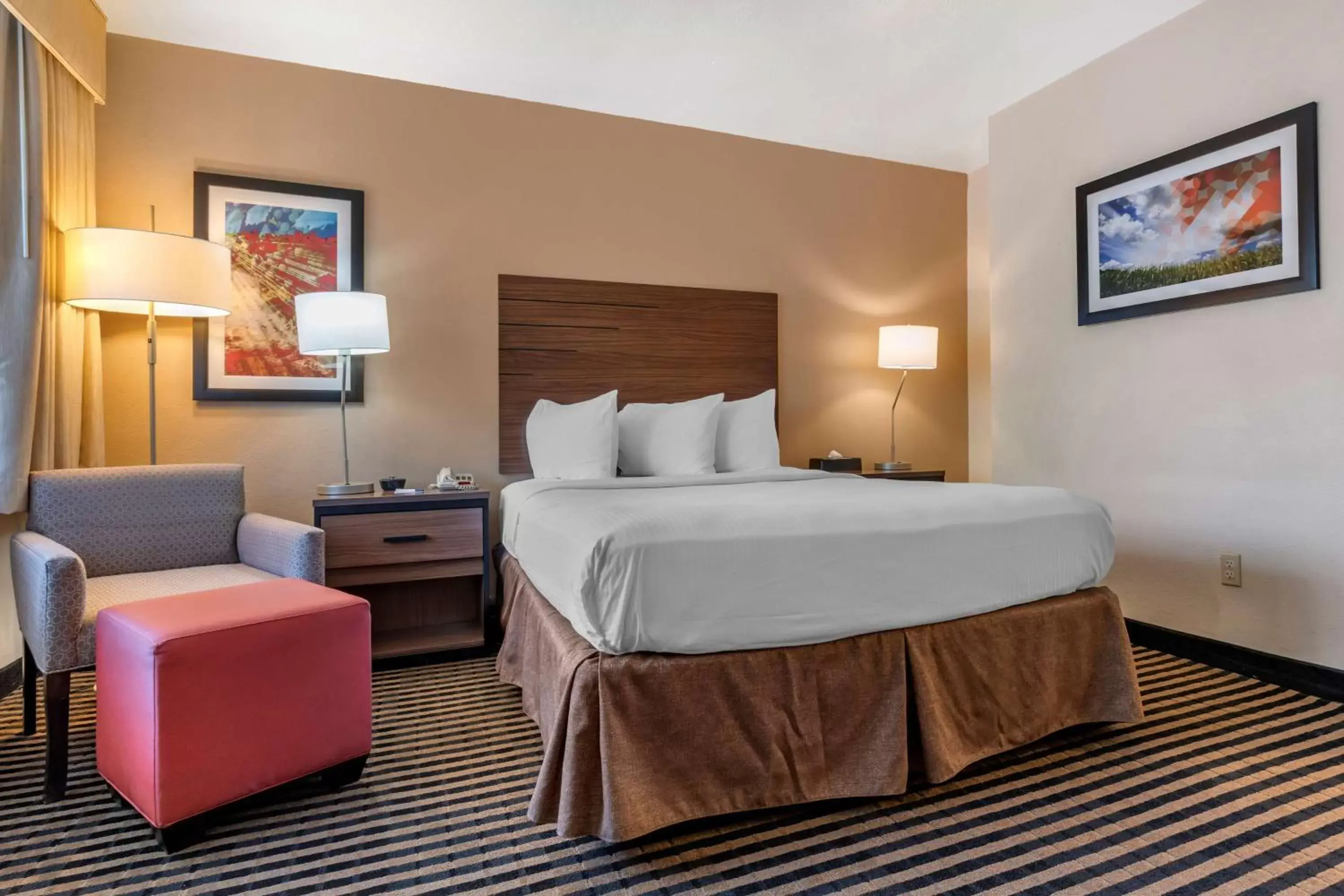 Queen Room with Roll-In Shower - Mobility Access in Best Western Town House Lodge Queen Room with Roll-In Shower - Mobility Access in Best Western Town House Lodge