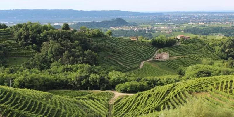 Natural landscape in Casa Nostra