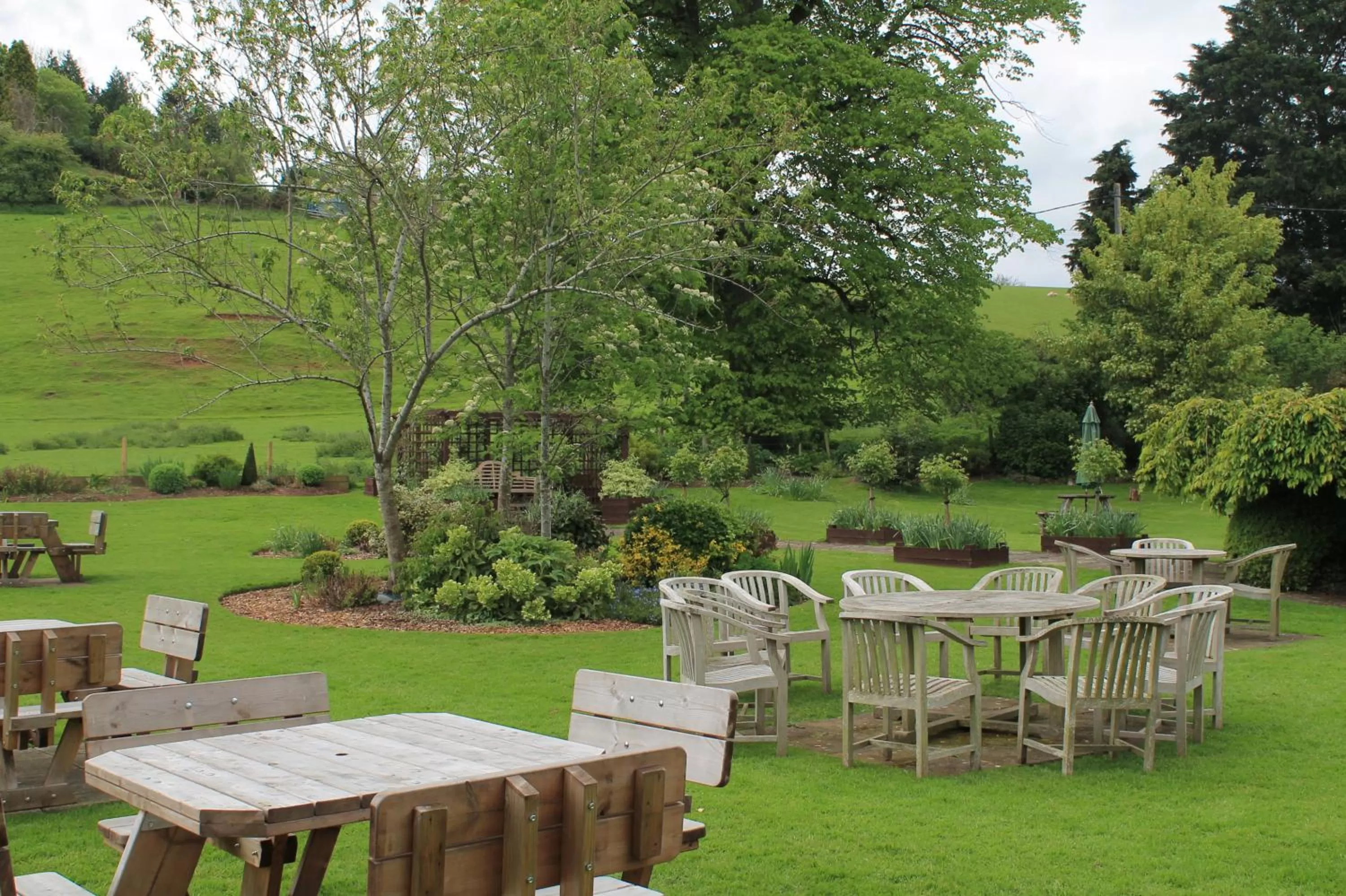 Garden in Old Court Hotel & Apartments