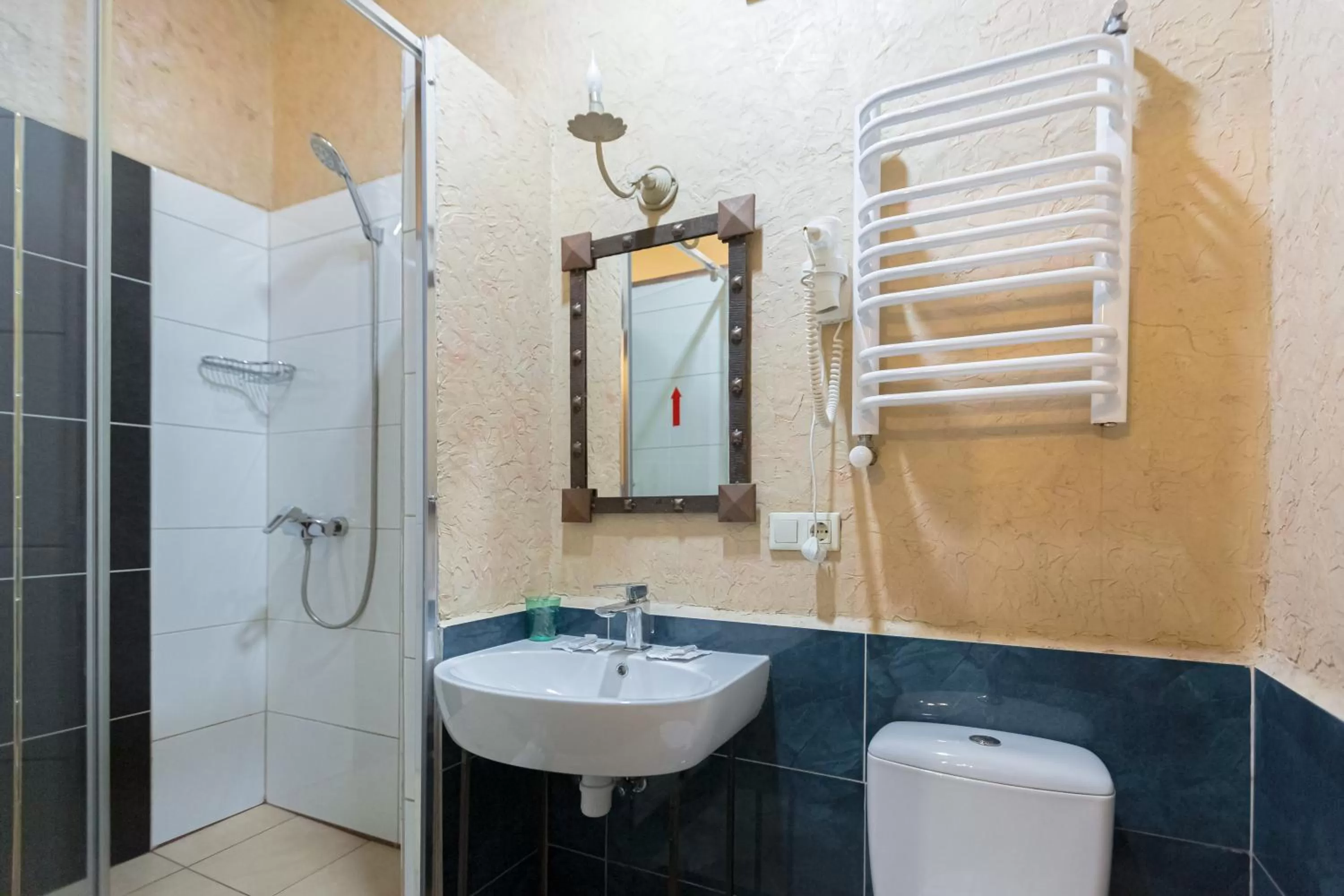 Bathroom in Staryi Krakiv