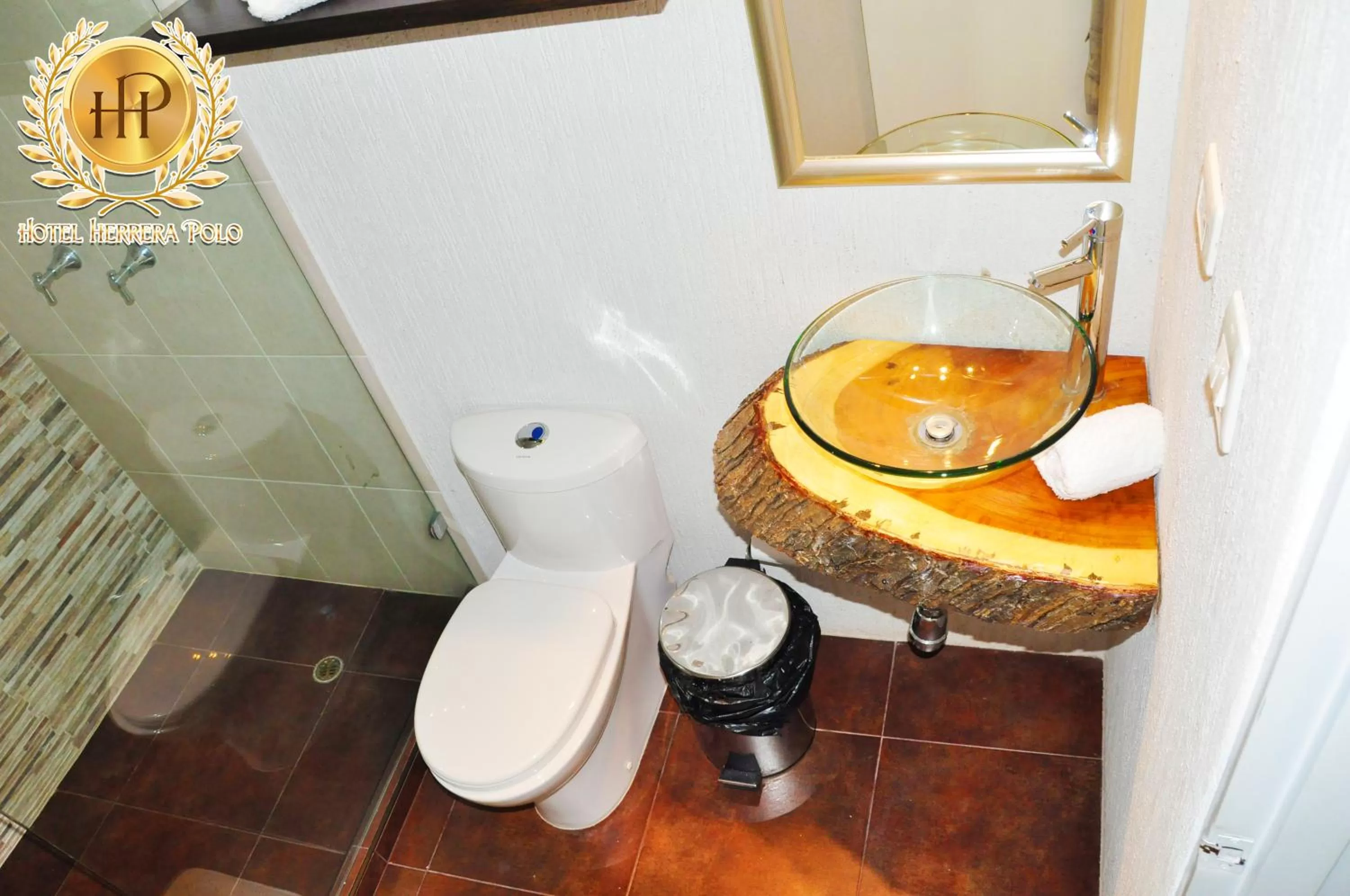 Shower, Bathroom in Hotel Herrera Polo