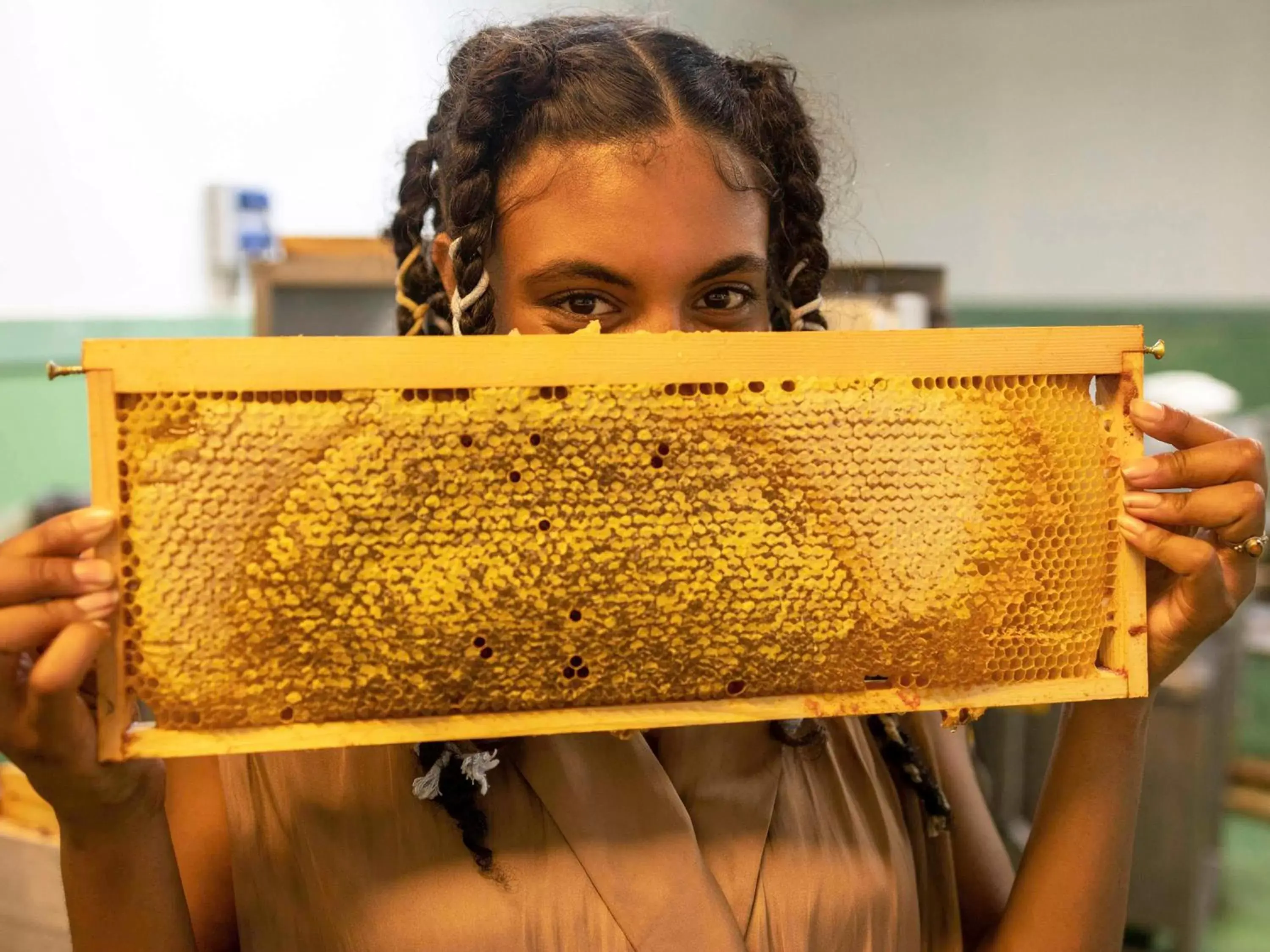 greet hotel Cernay Mulhouse greet hotel Cernay Mulhouse