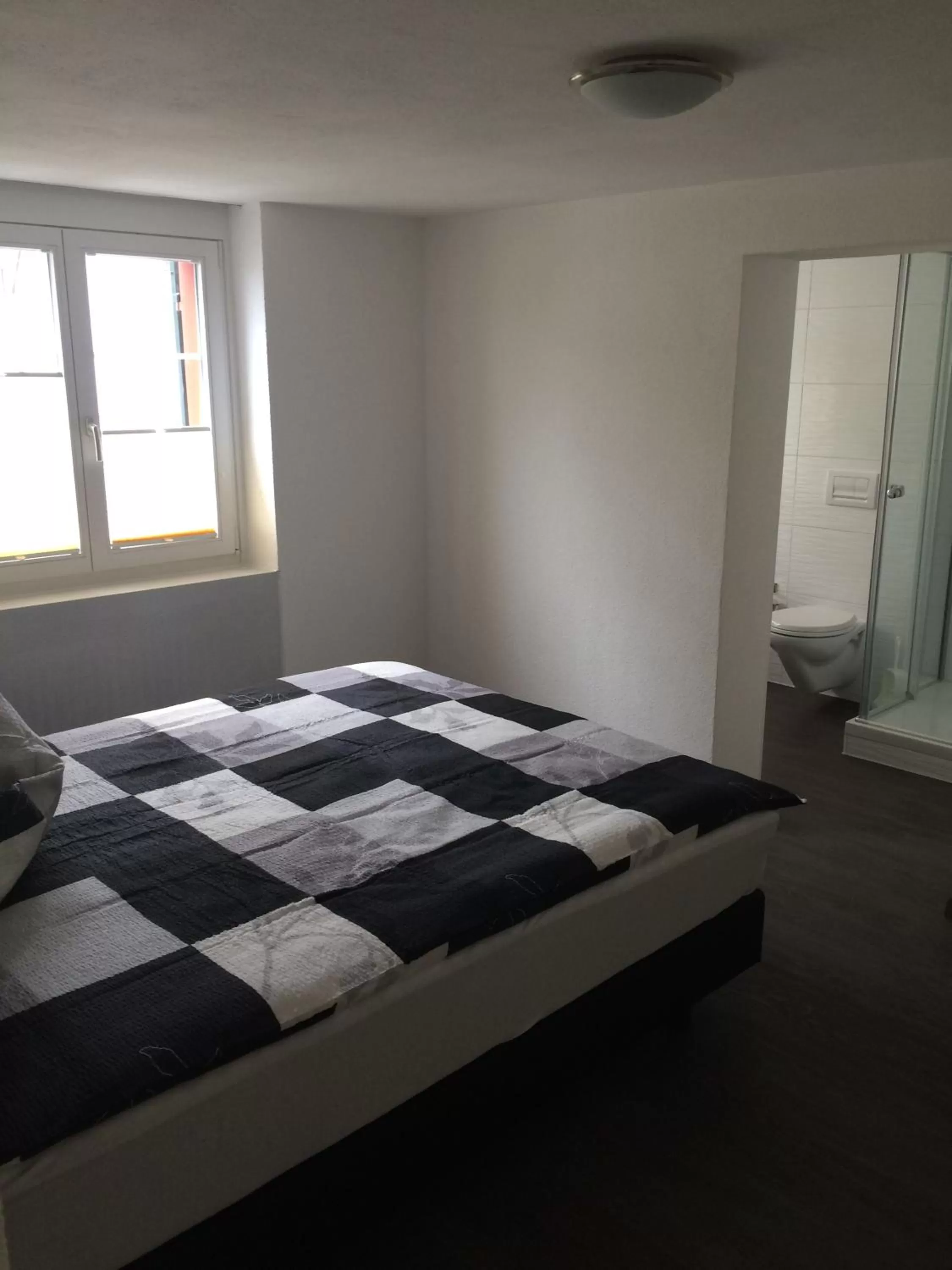 Deluxe Double Room with Shower in Hotel Bären Amriswil