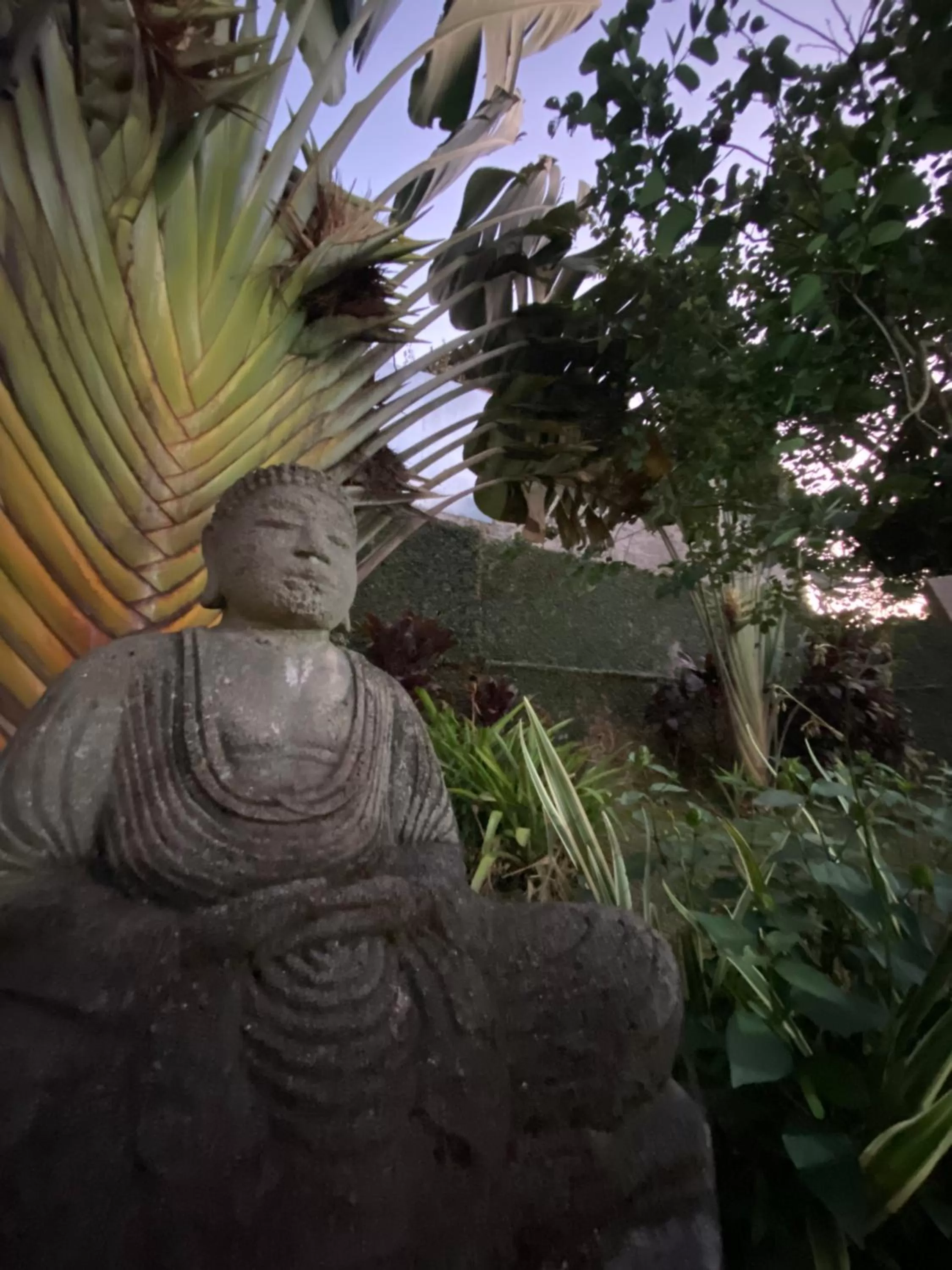 Garden view, Other Animals in Hotel La Ponsa Itatiaia