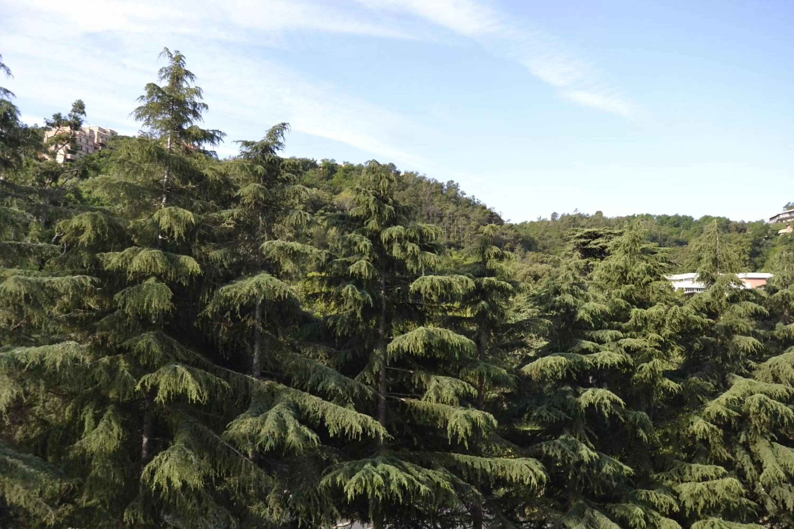 Natural landscape in GLEM rooms & breakfast