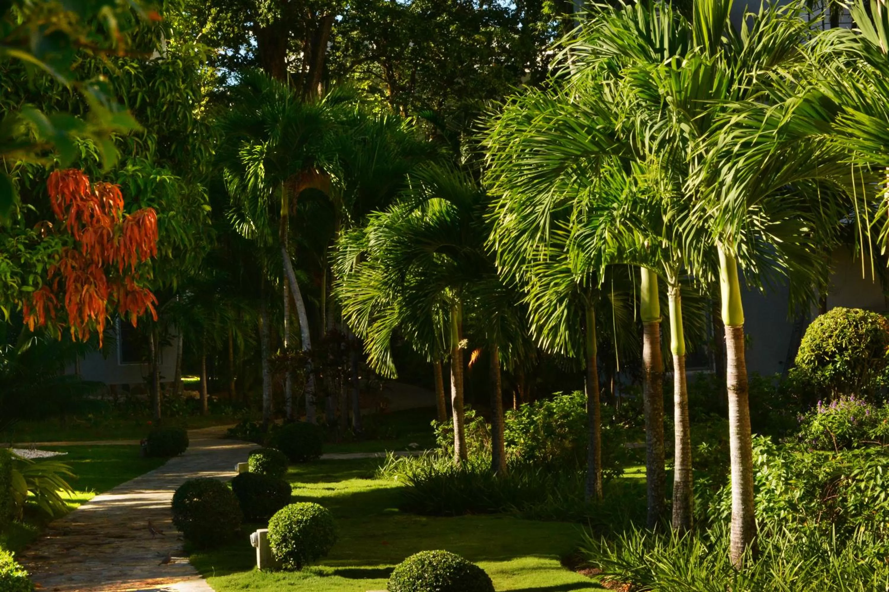 Natural landscape in Instyle Residences at Infiniti Blu