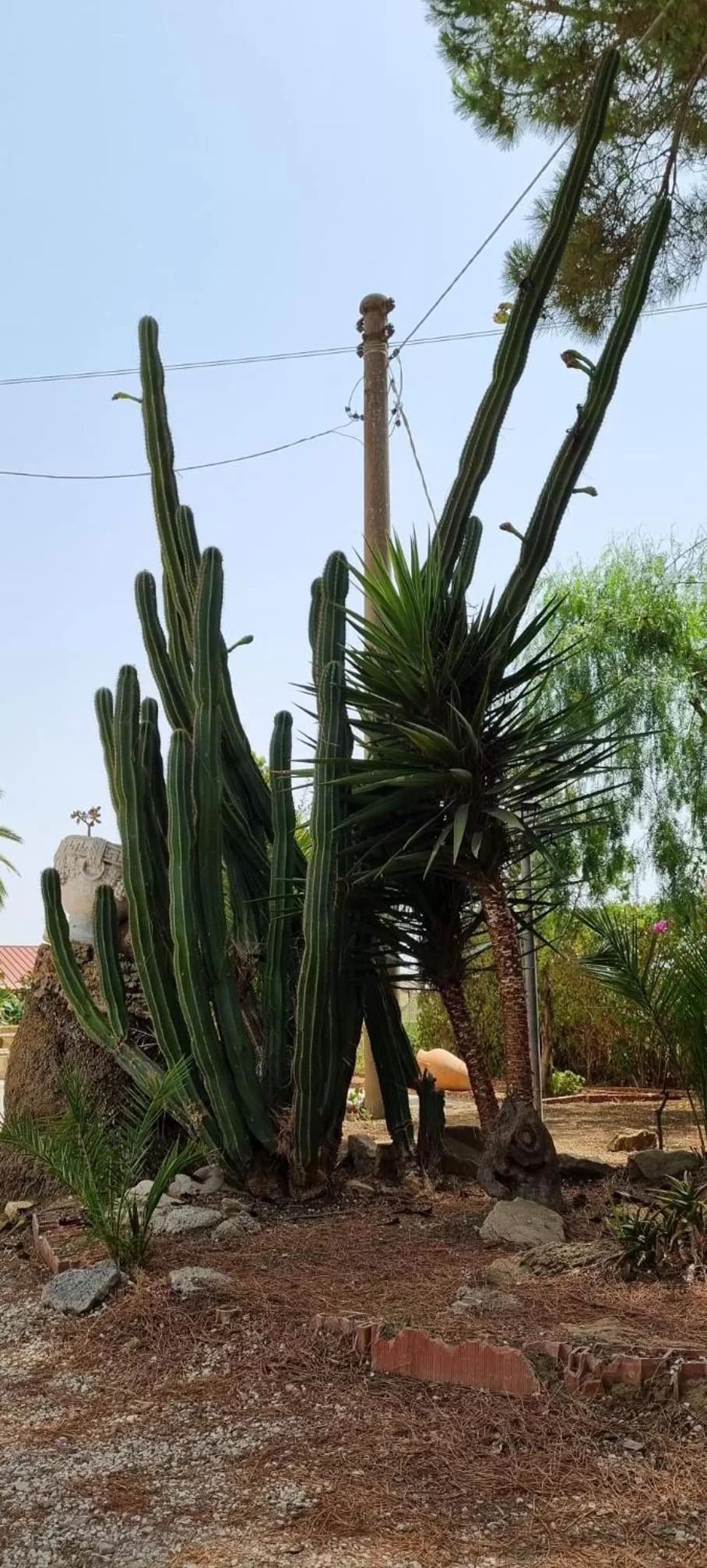 Garden in Casolare del Toscano Country Rooms