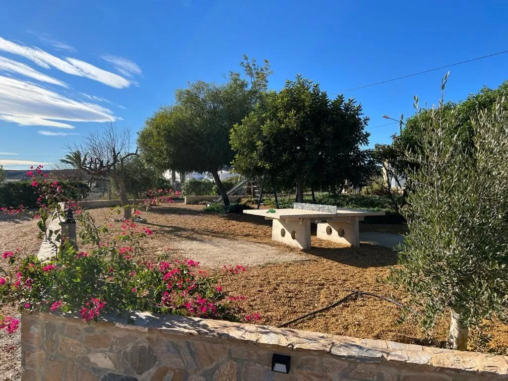 Garden in Mas Solana