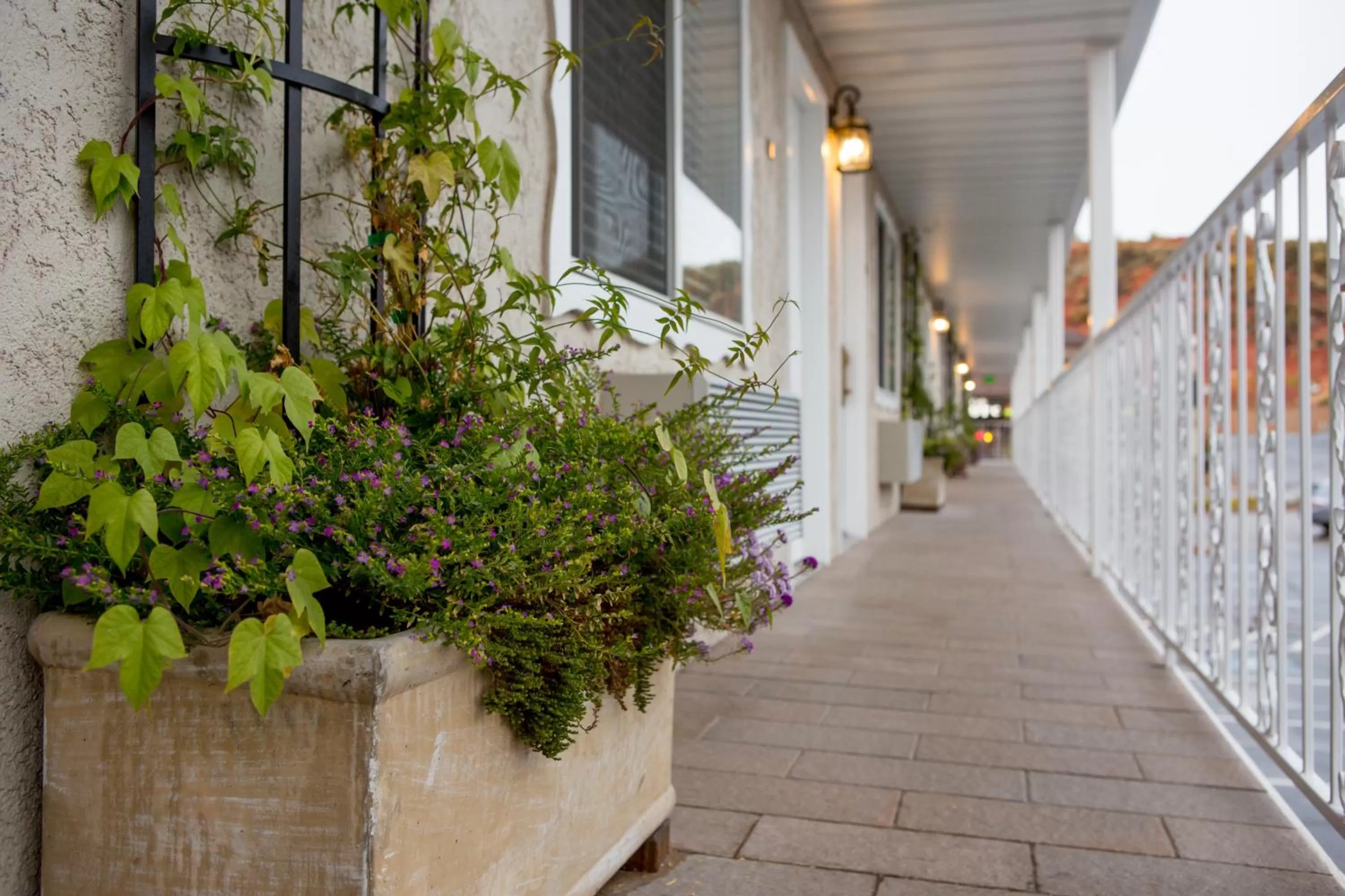 Property building in The Chalet