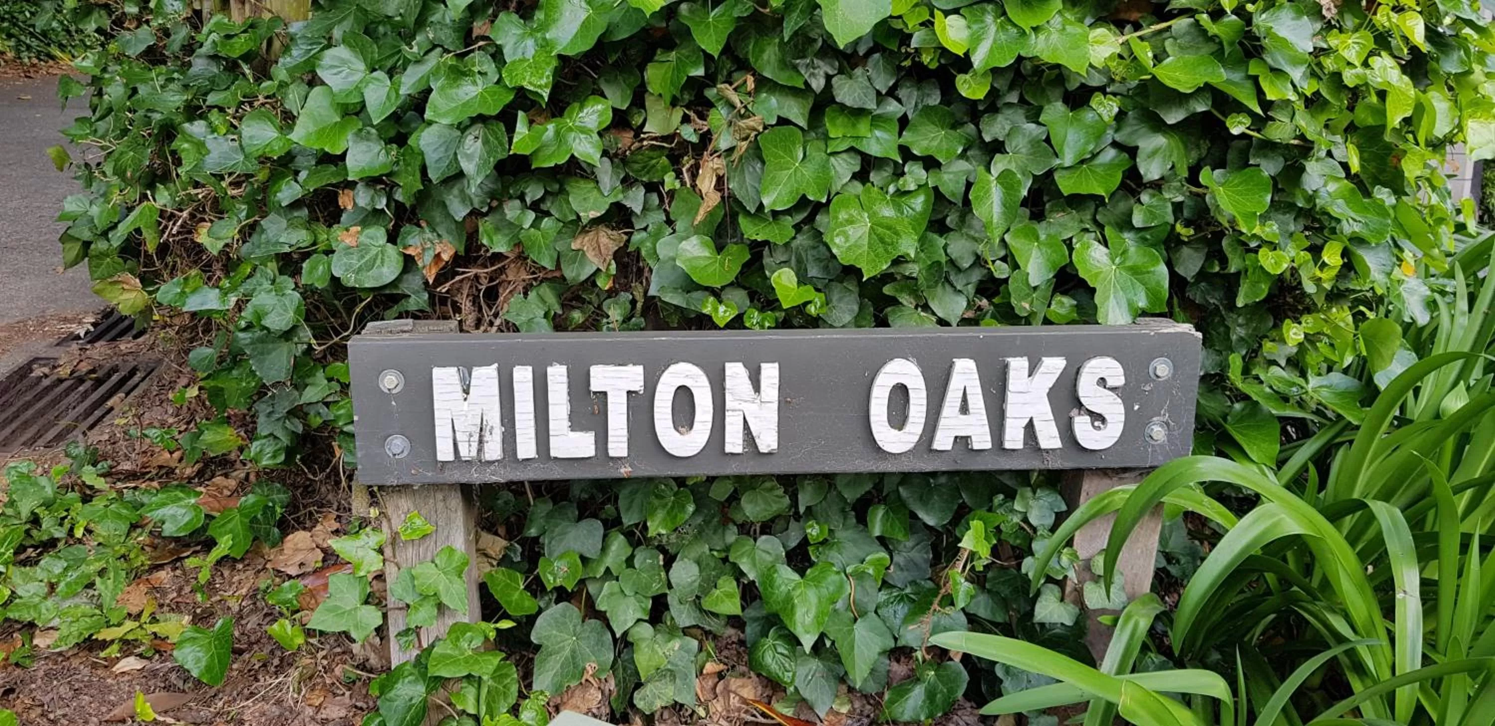 Property logo or sign in MnM's BnB