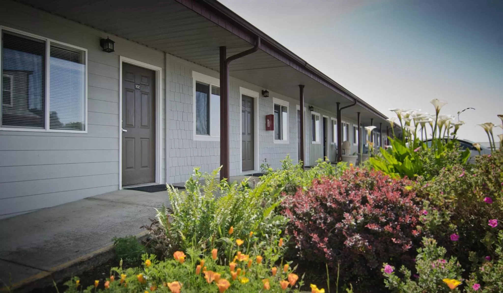 Property building in Pacific Reef Hotel & Light Show