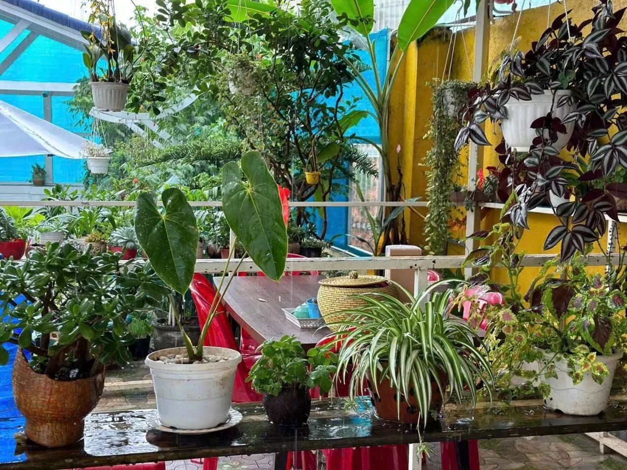 Garden view in Villa - Hotel Nam Khang 2 Dalat