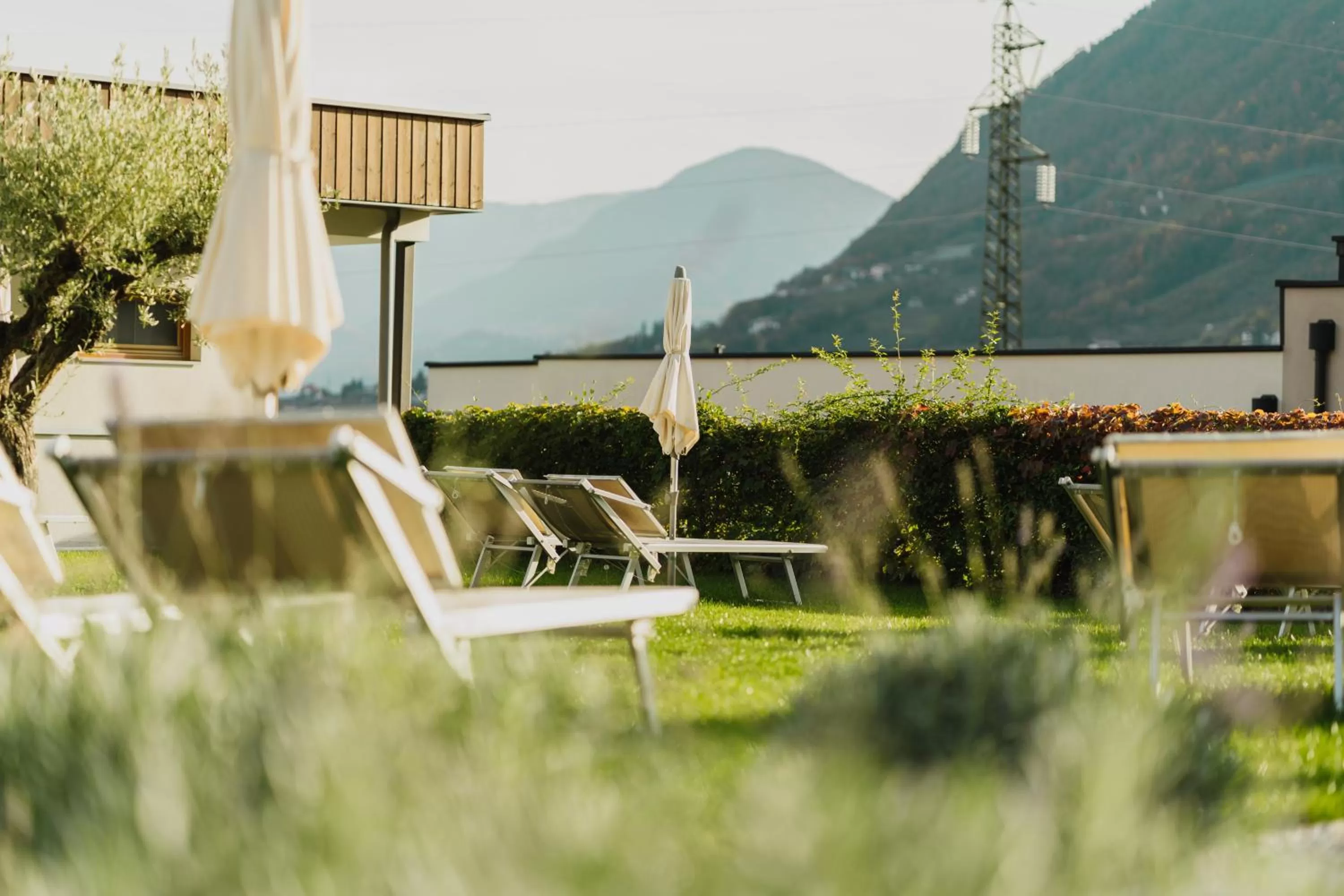 Garden in Hotel Der Heinrichshof