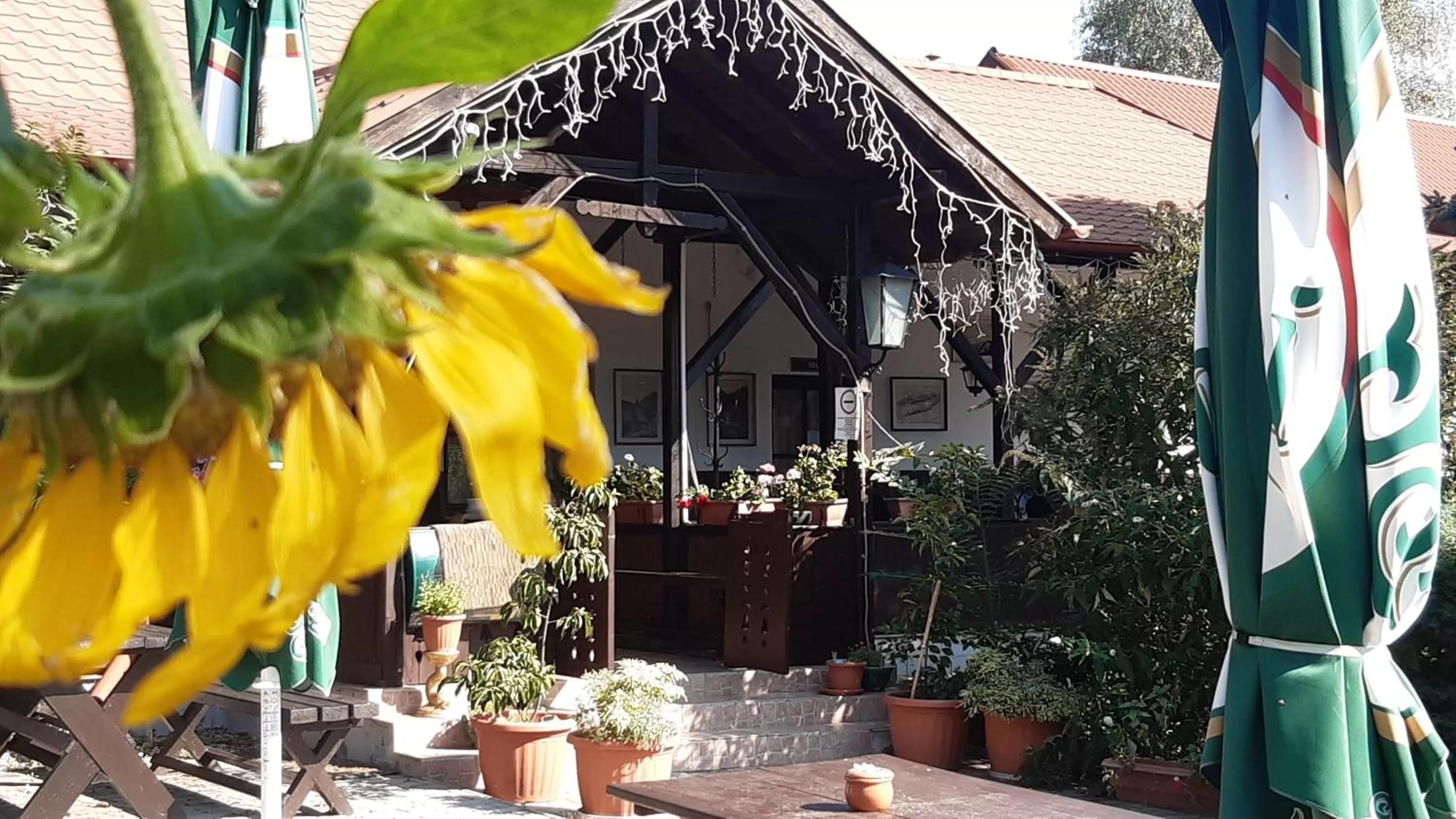 Property Building in Mátyus Udvarház Kengyel Fogadó Eger