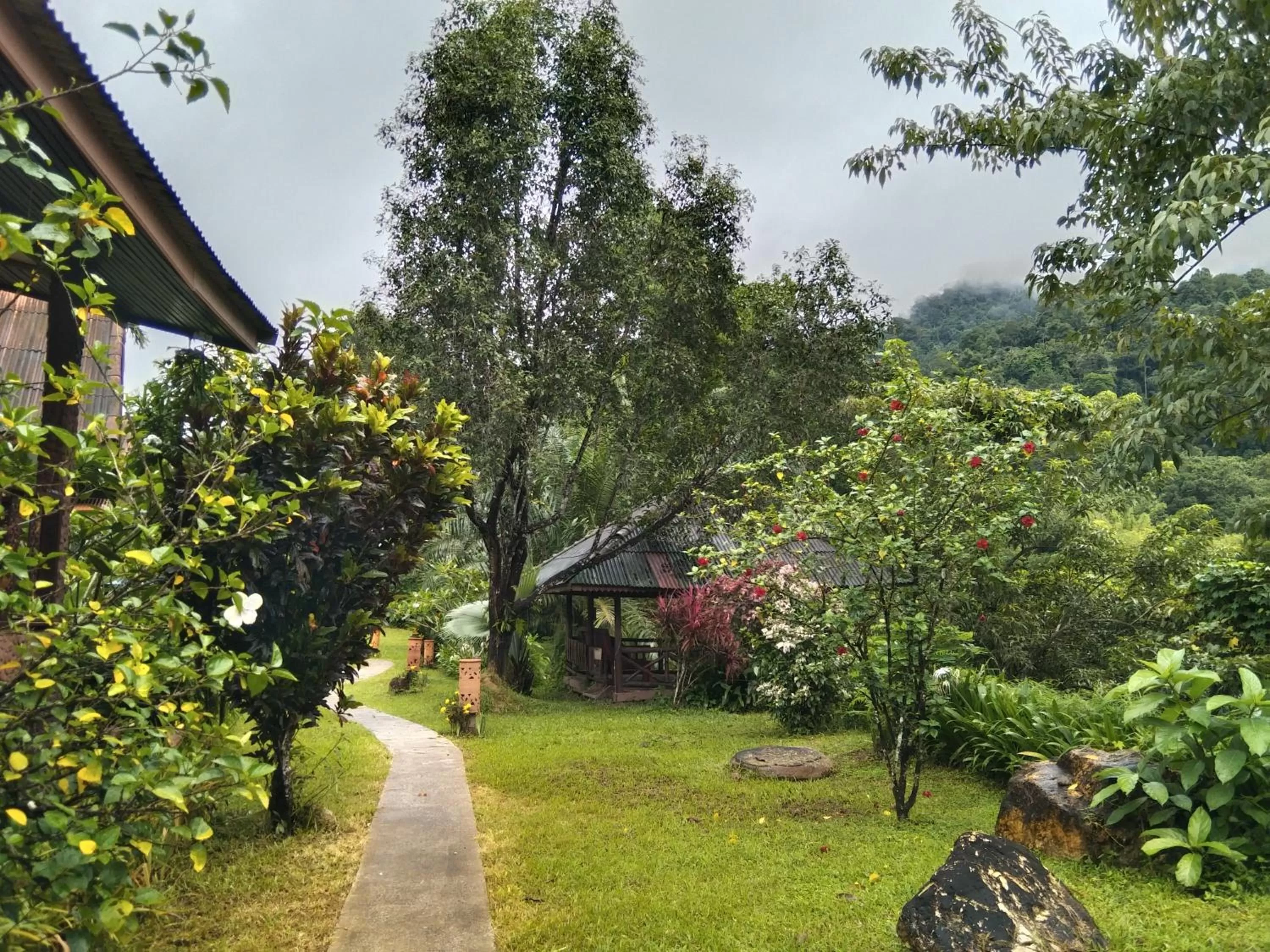 Property building in Khao Sok River & Jungle Resort