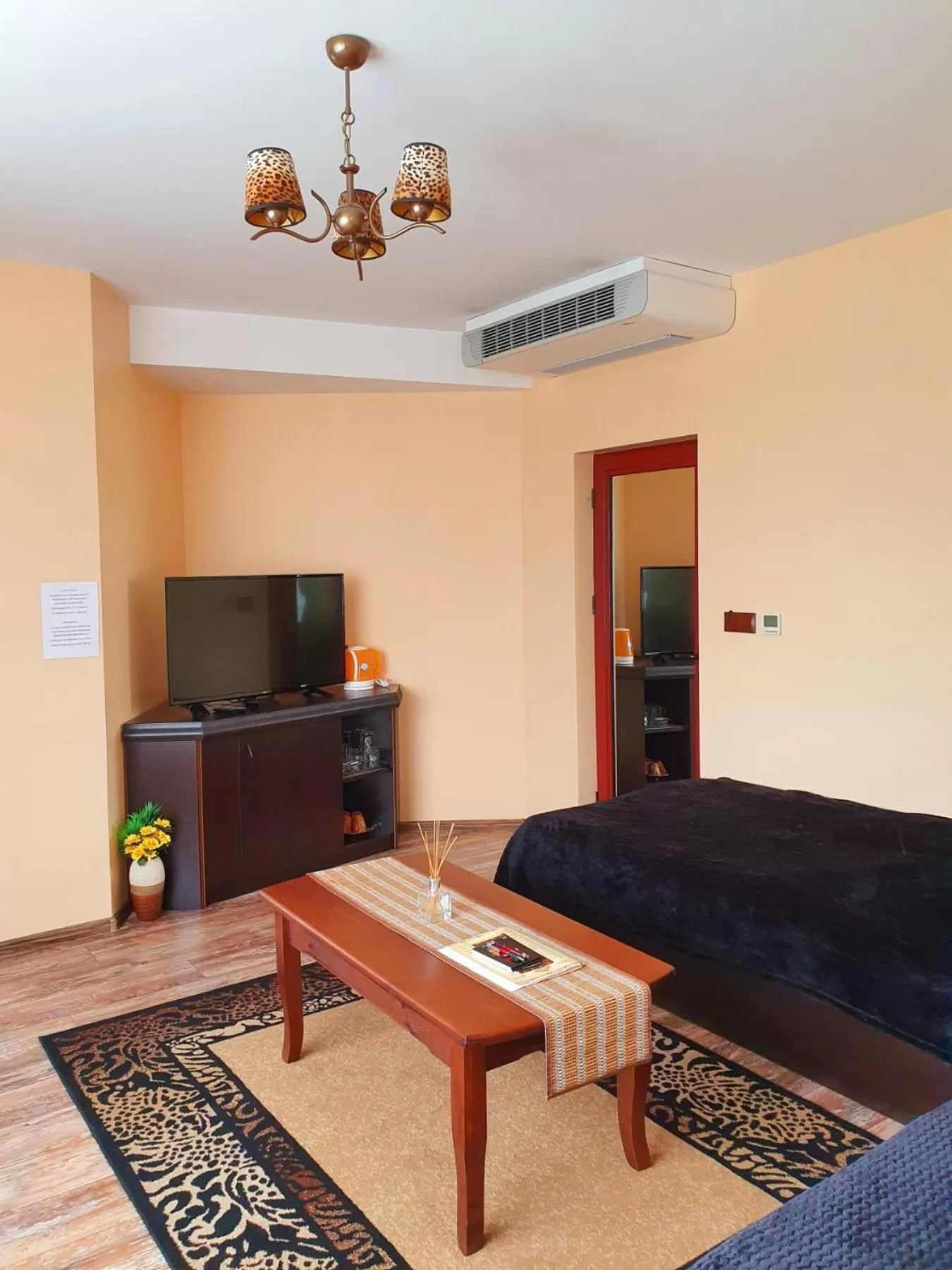 TV/Entertainment Center in Hotel Africa