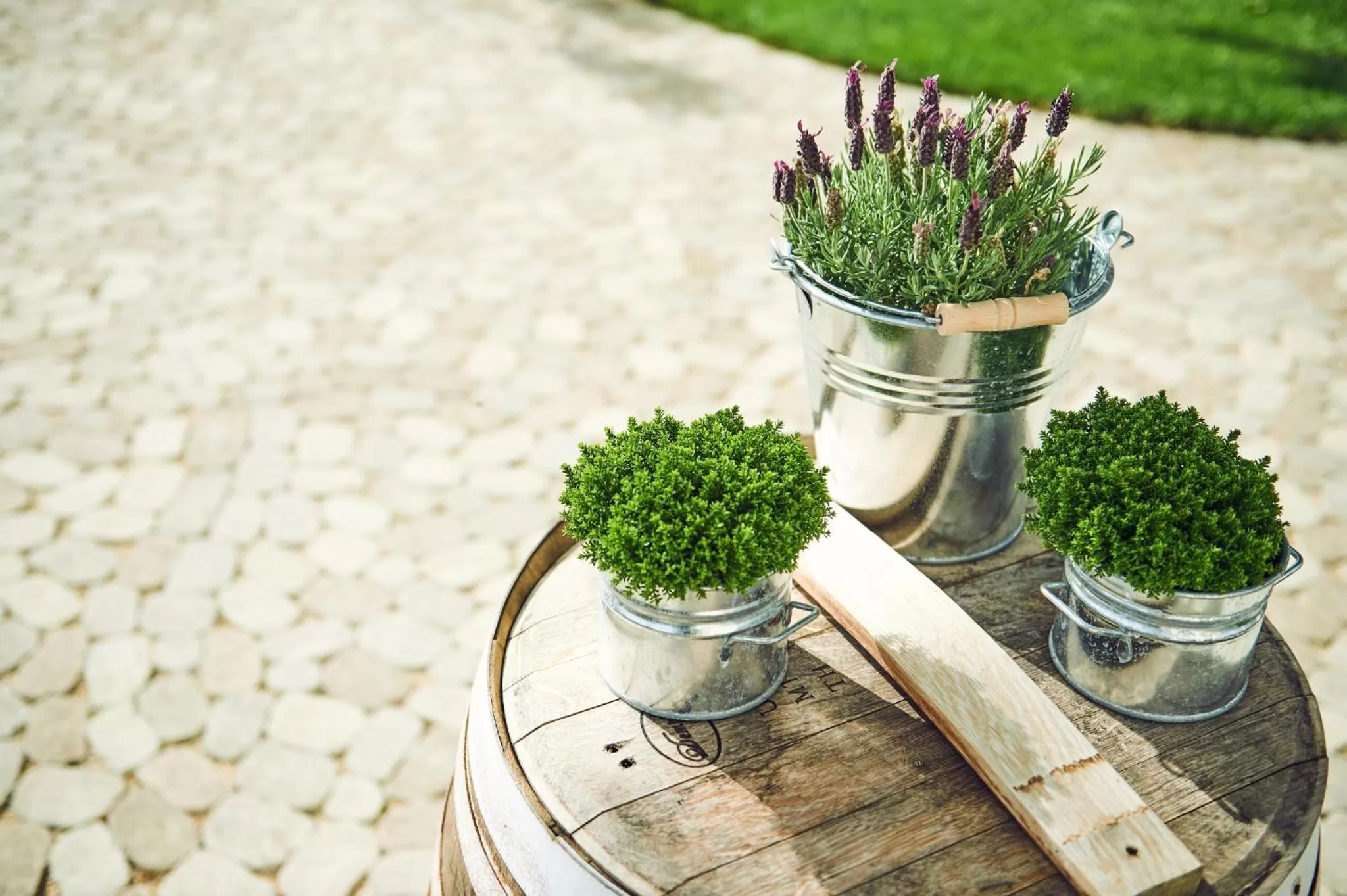 Garden in Landhotel ALTE LINDE