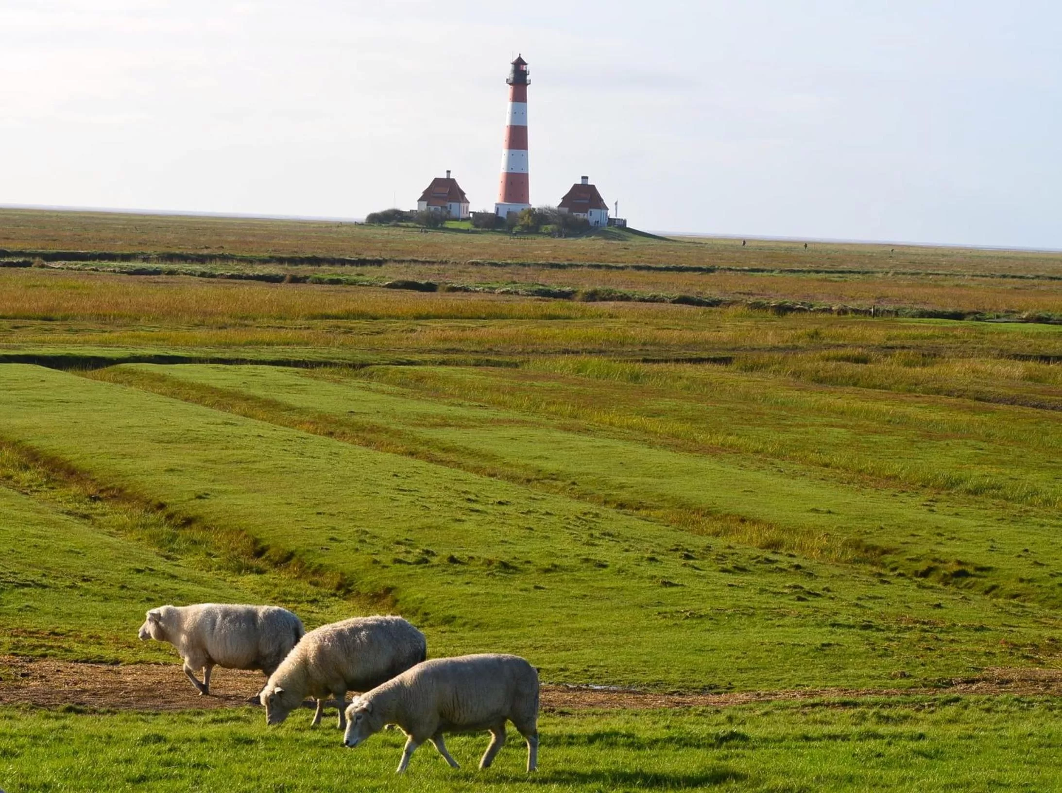 Nearby landmark in Hotel Landhaus Ellerbrock