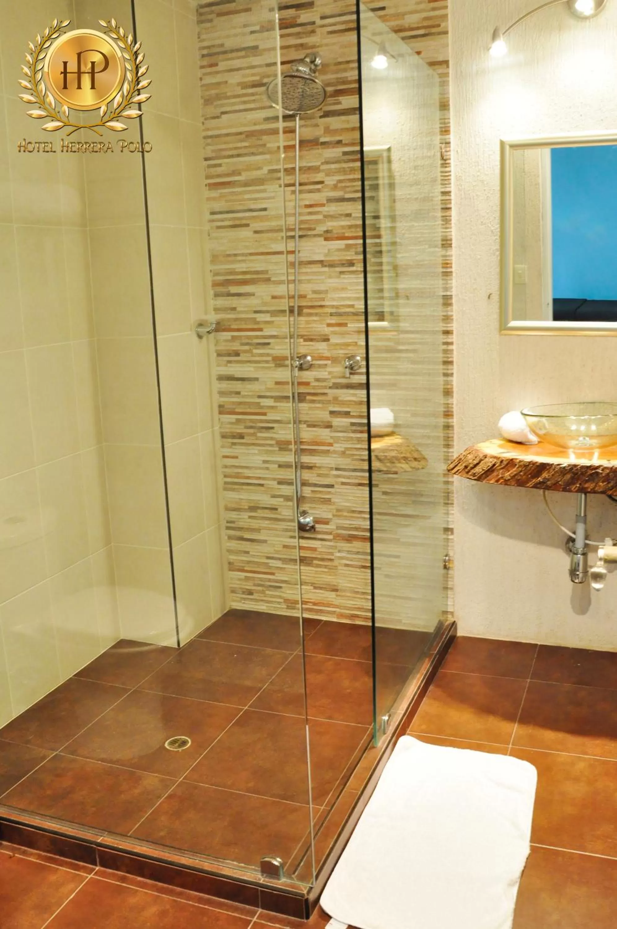 Shower, Bathroom in Hotel Herrera Polo