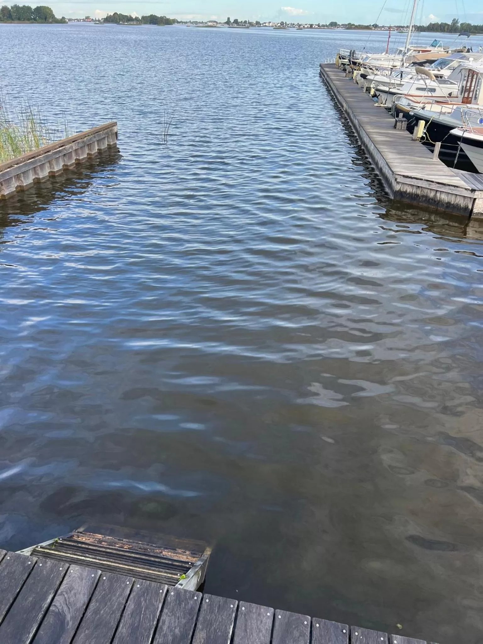 Swimming pool in Plassenzicht Logies, Vergaderen en Sloepverhuur