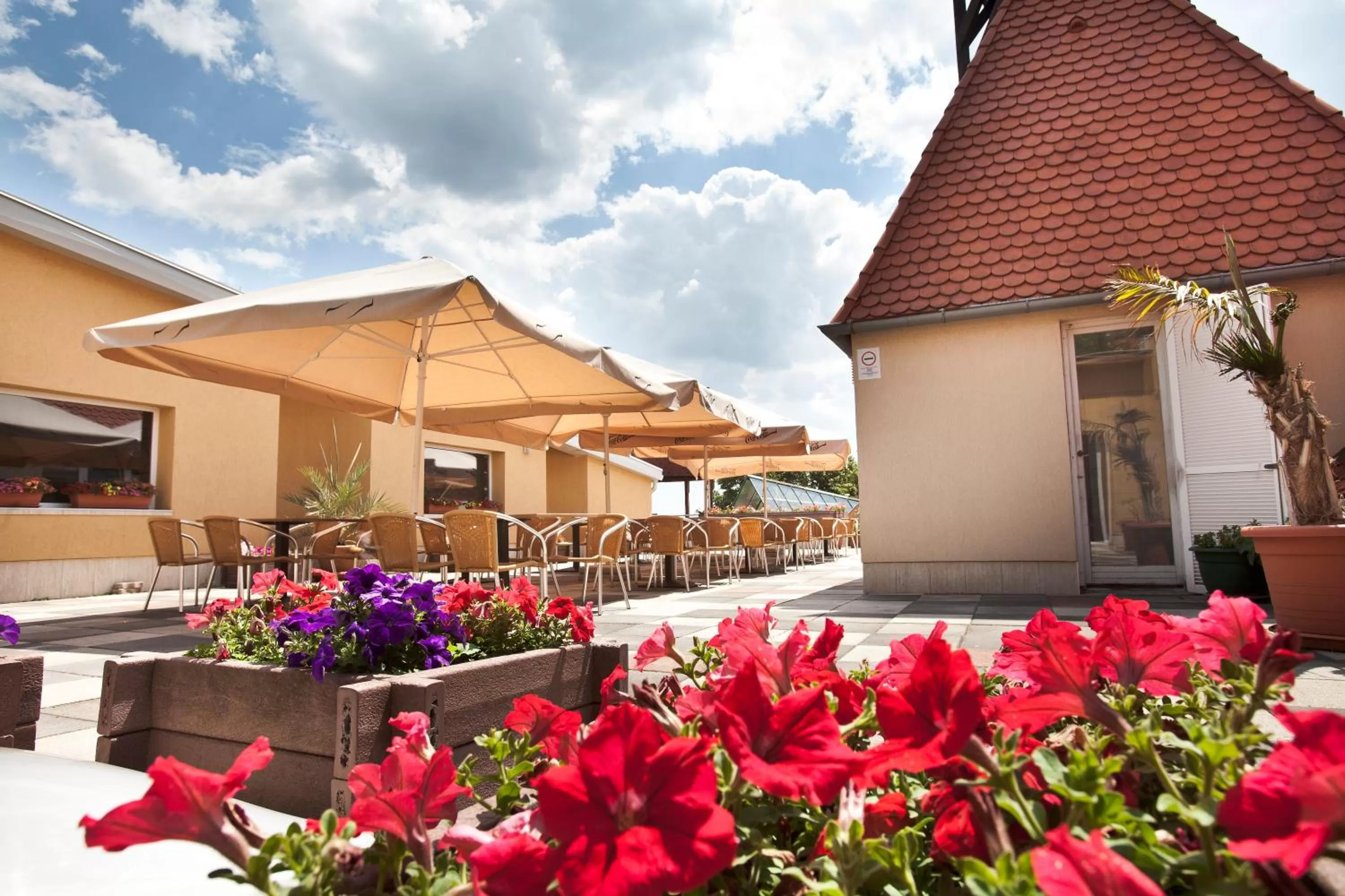 Restaurant/places to eat in Hotel Makar Sport & Wellness