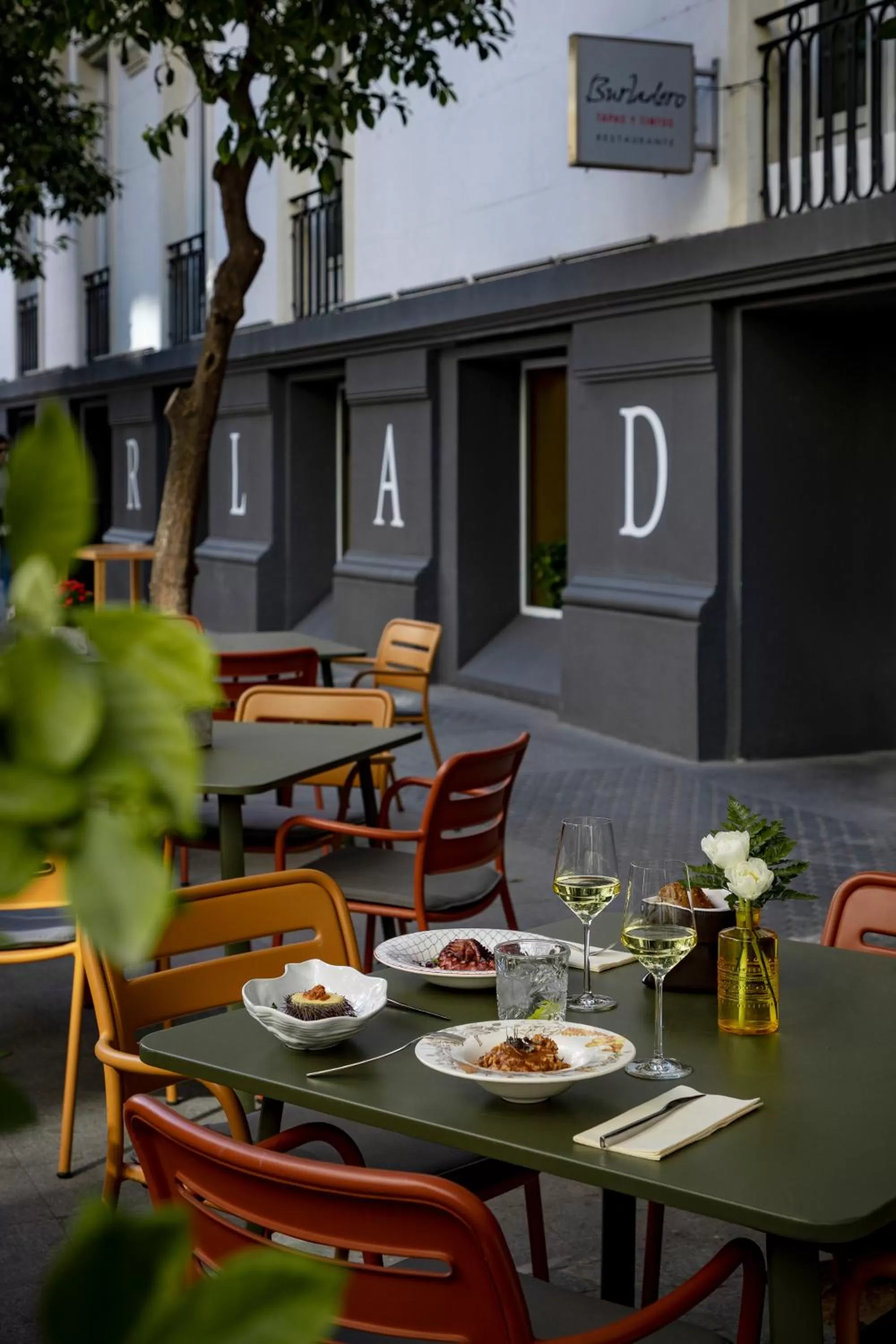 Restaurant/places to eat in Hotel Colón Gran Meliá - The Leading Hotels of the World