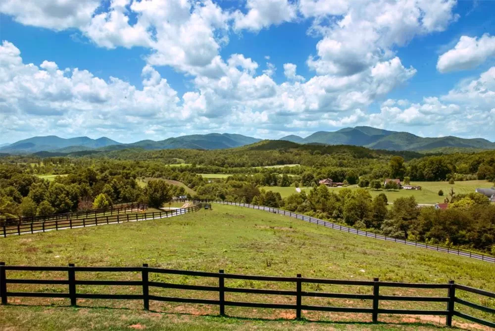 Horse-riding in Brasstown Valley Resort & Spa