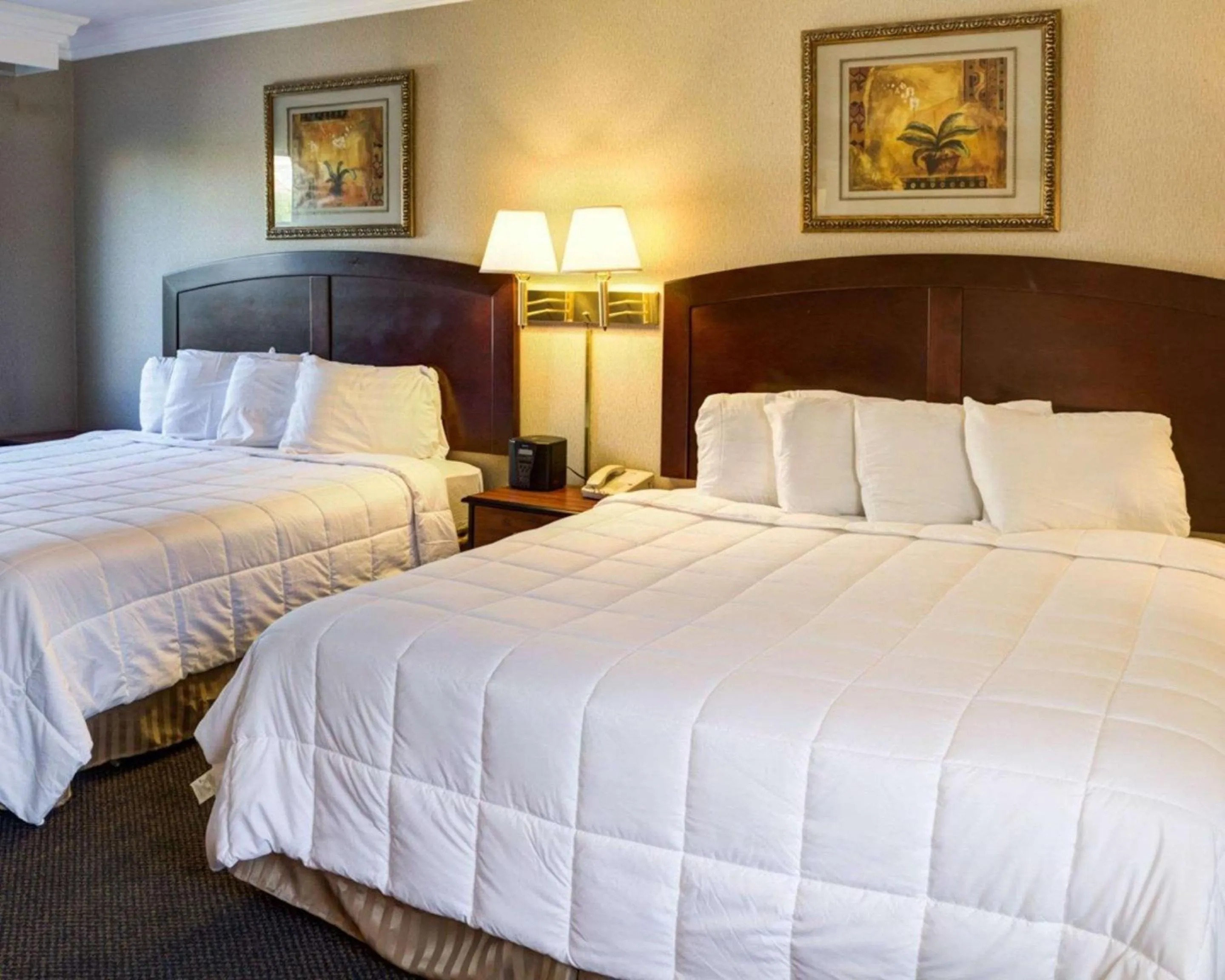 Photo of the whole room in Rodeway Inn near Venice Beach