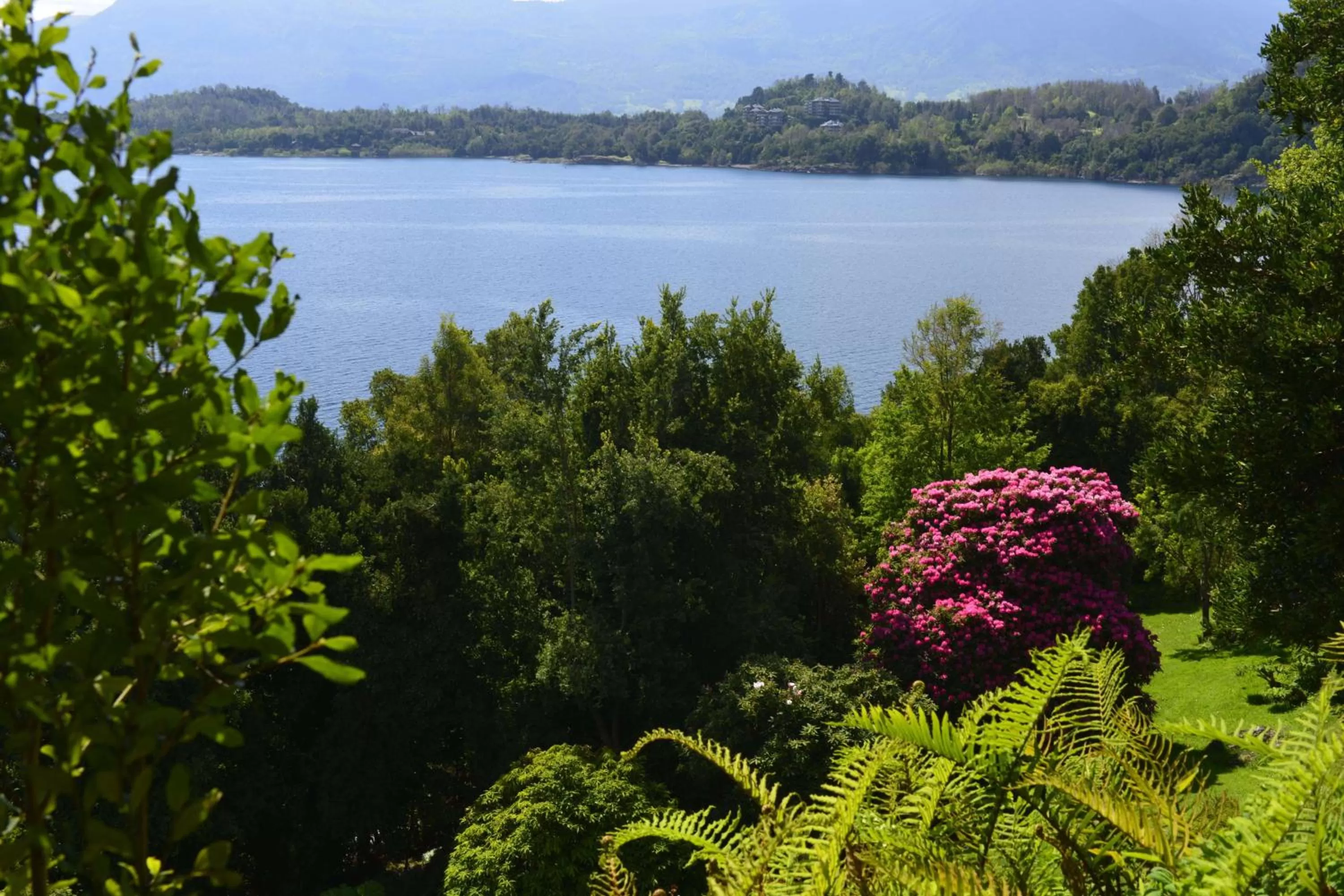 View (from property/room), River View in Hotel Antumalal