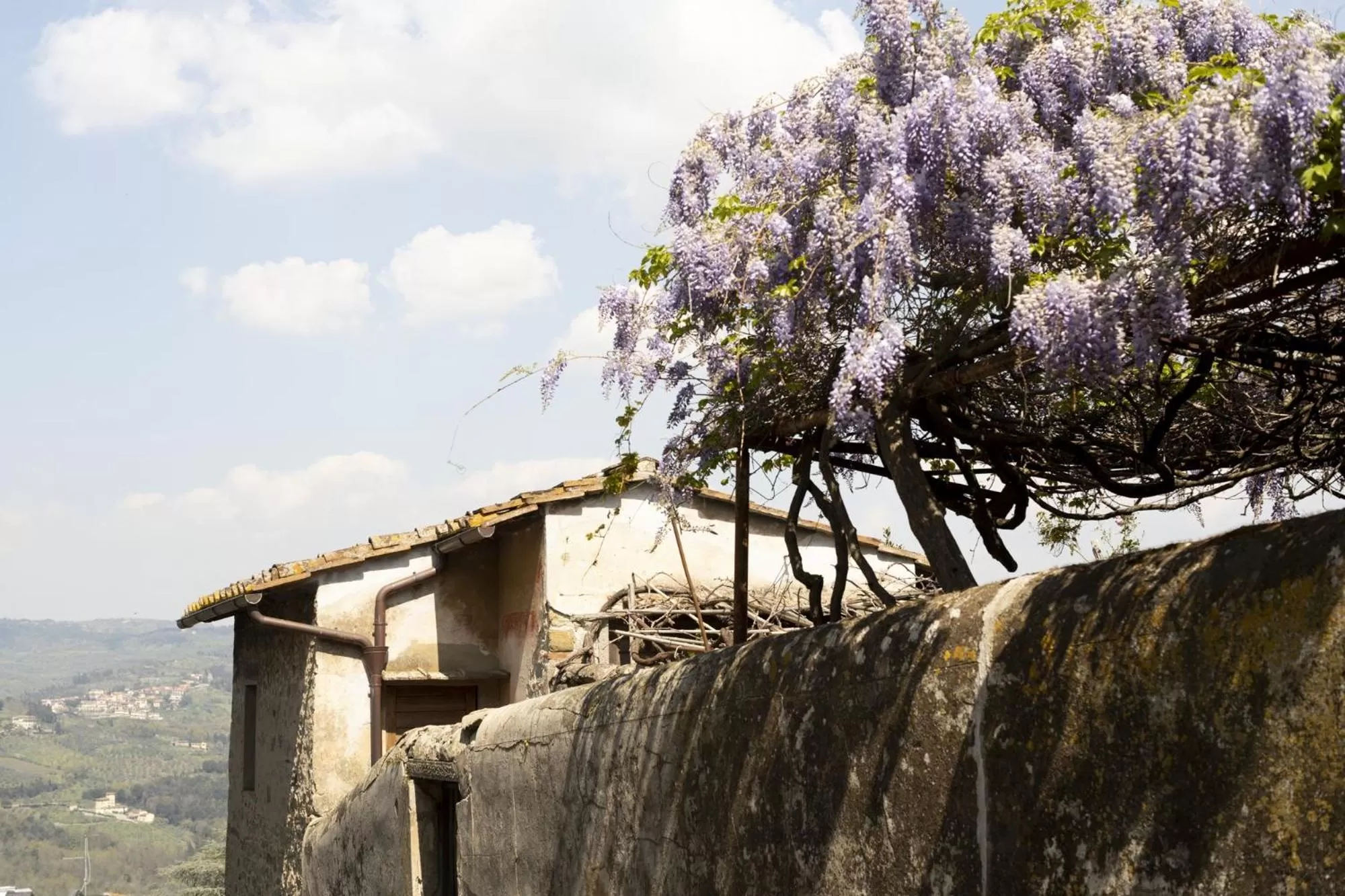 B&B Le Cannelle FIESOLE