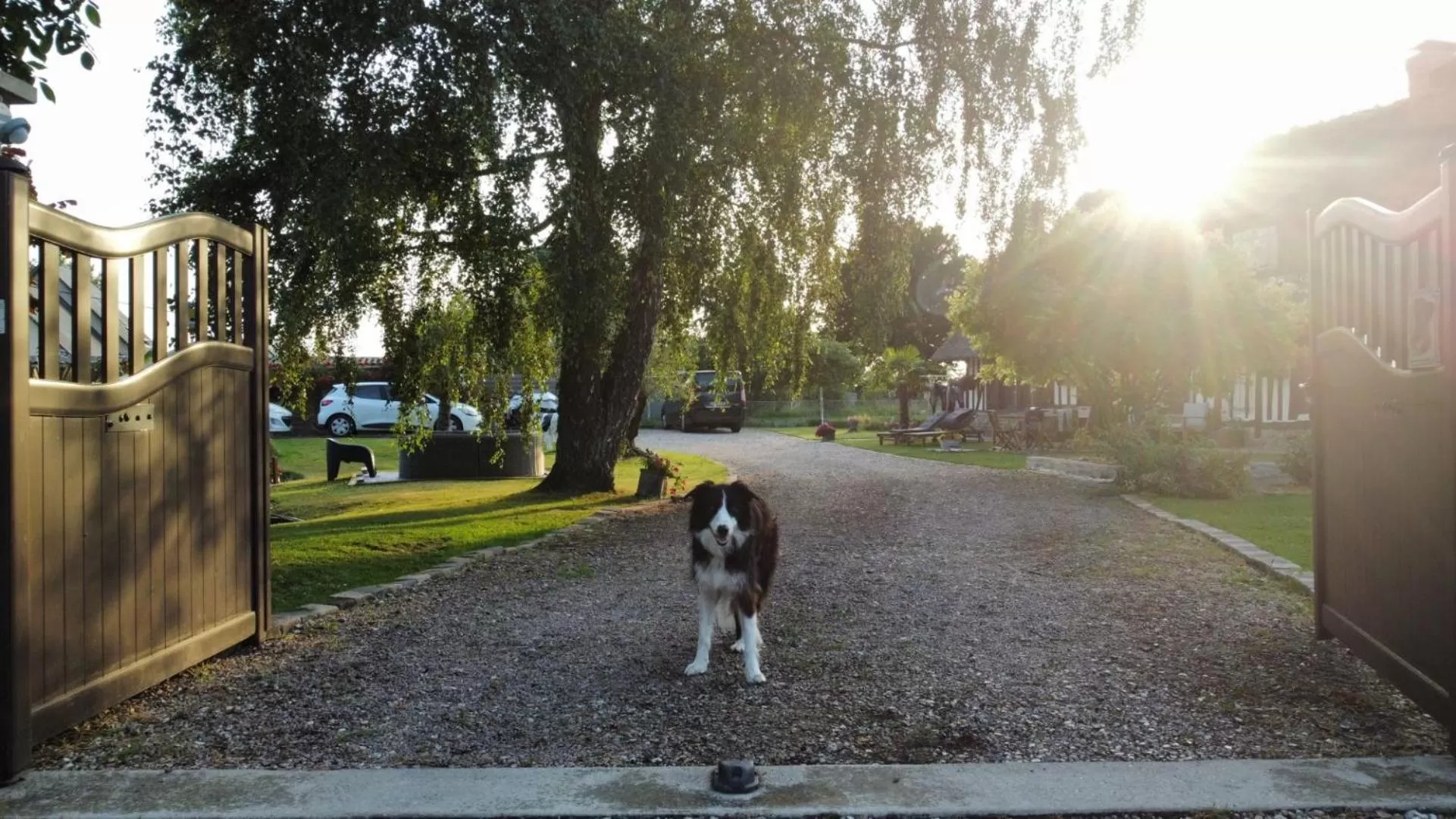 Garden in La Chaumière